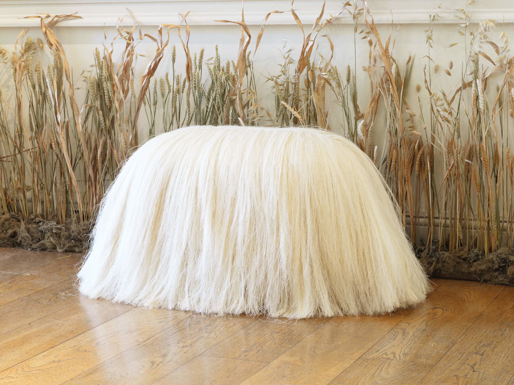 Fernando Laposse, Sisal Pup, 2022