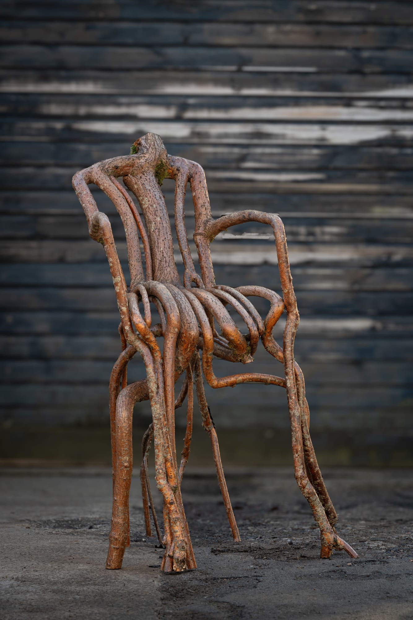 Full Grown, The Attenborough Chair, 2025