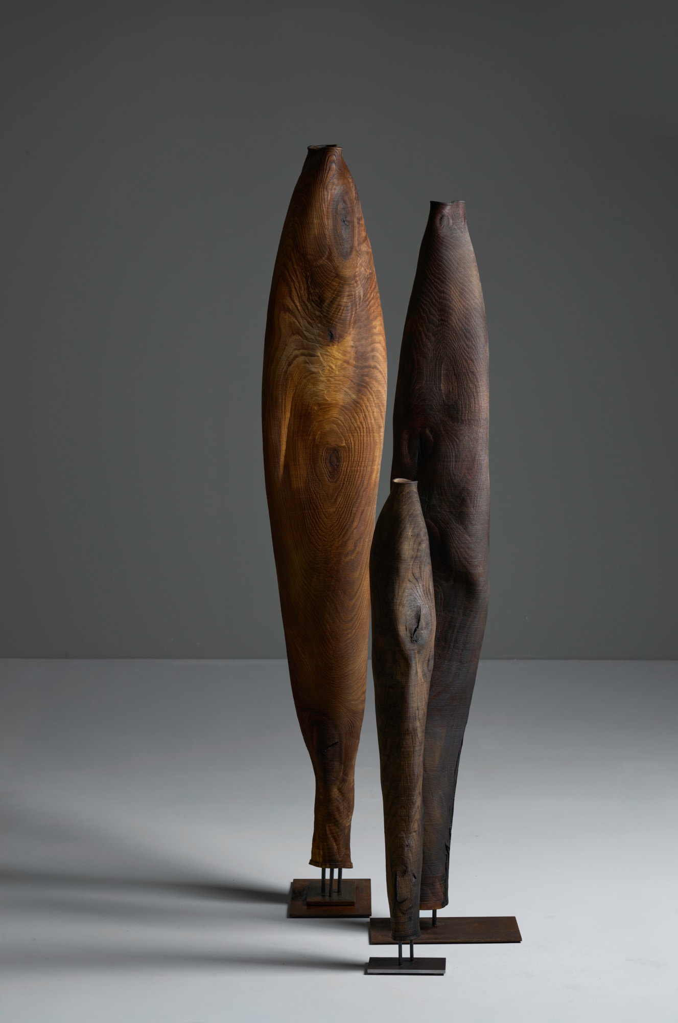 Ernst Gamperl, 46/2024//180, 2024