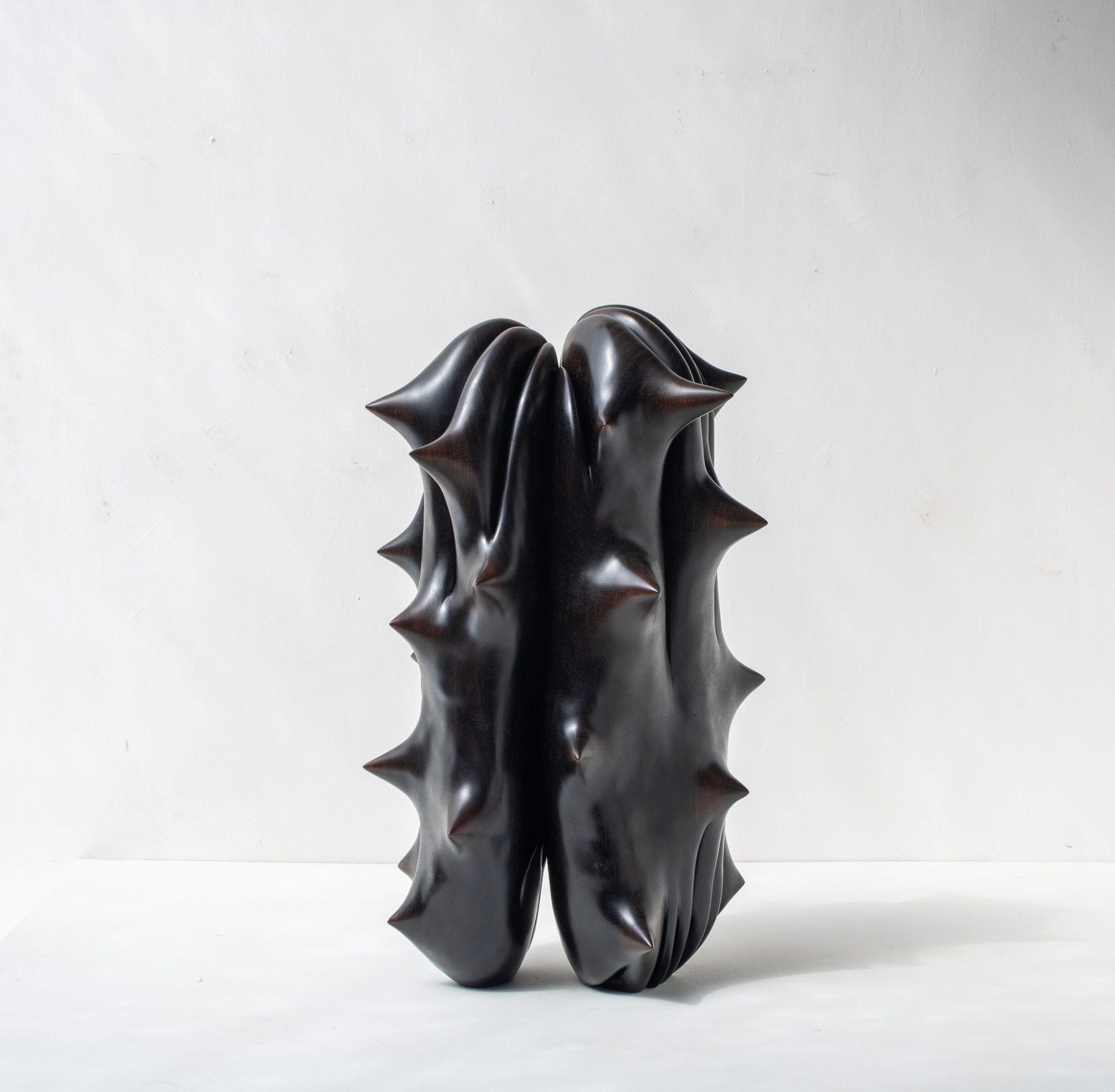 Julian Watts, Shape 1, 2024