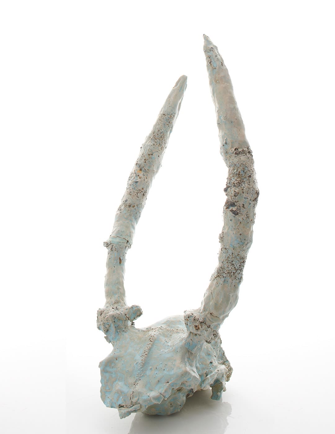 Aneta Regel, Horned 2 , 2022