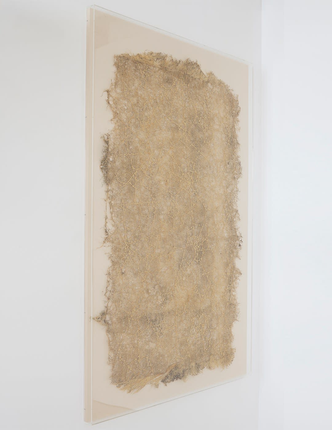 Diana Scherer, Hyper Rhizome 1, 2023