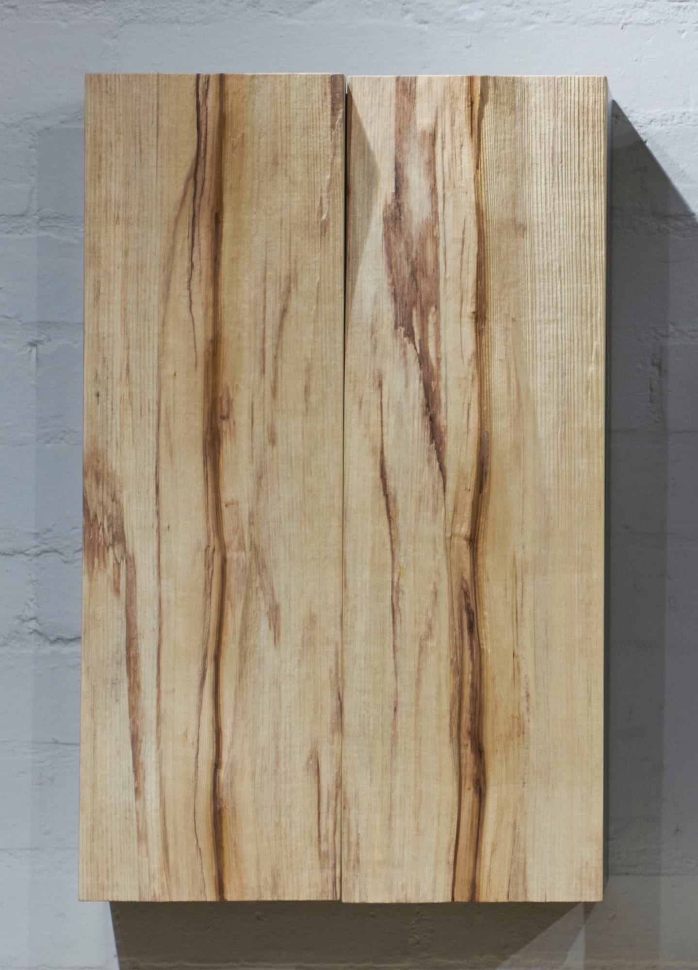 Peter Marigold and Tadanori Tozawa, Magnolia Cabinet 4, 2020