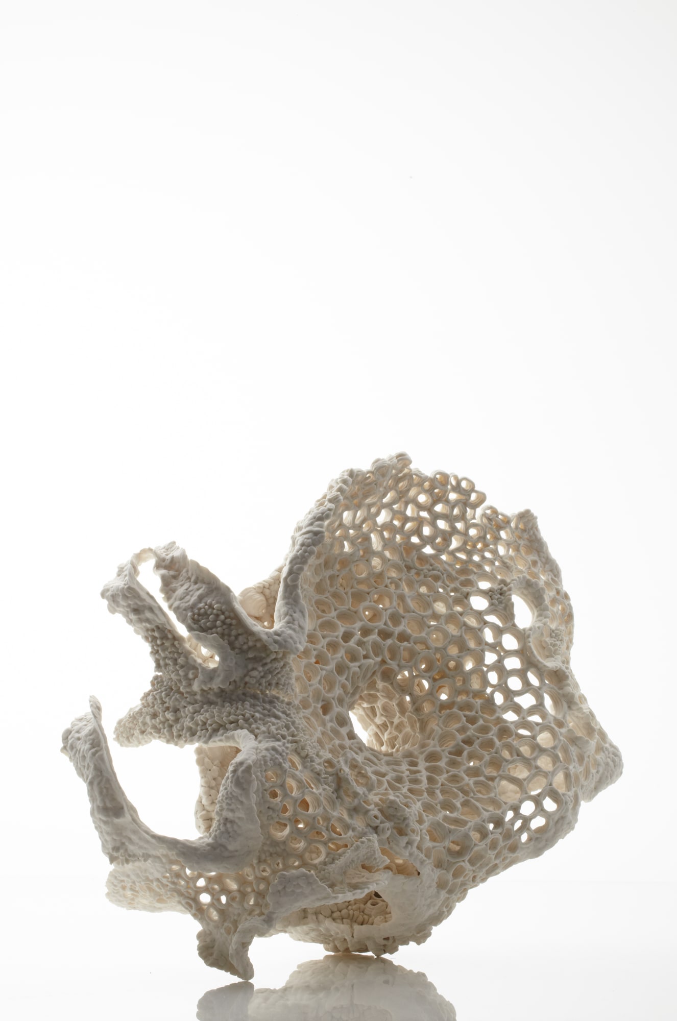 Nuala Odonovan, Fractal Sea Urchin Unfolded, 2024