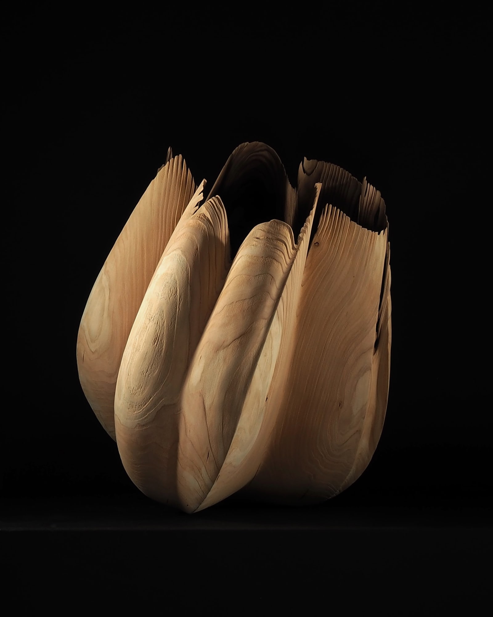 Nic Webb, Western Red Cedar II, 2022