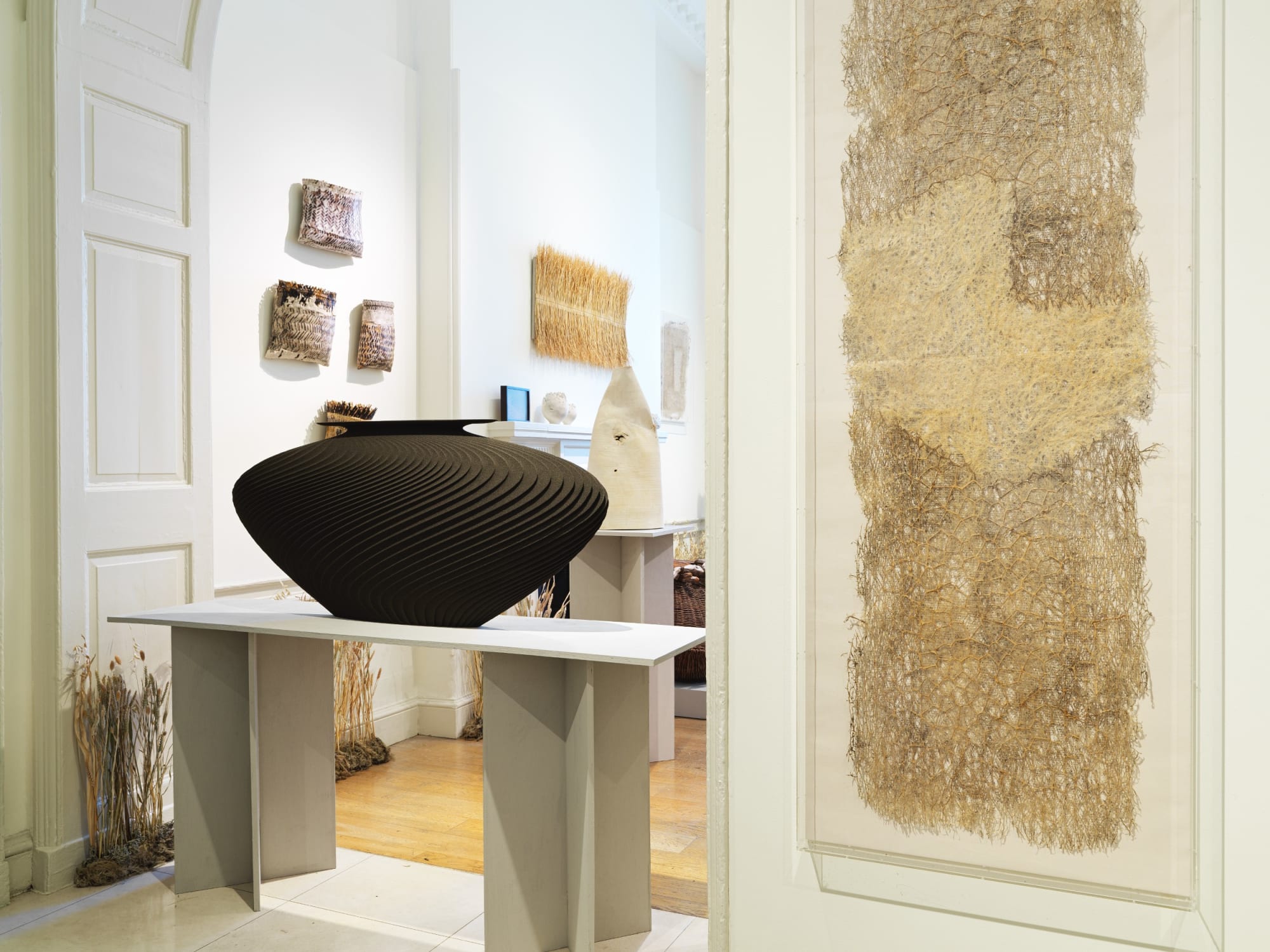 Diana Scherer, Exercises in Rootsystem Domestication I, 2020