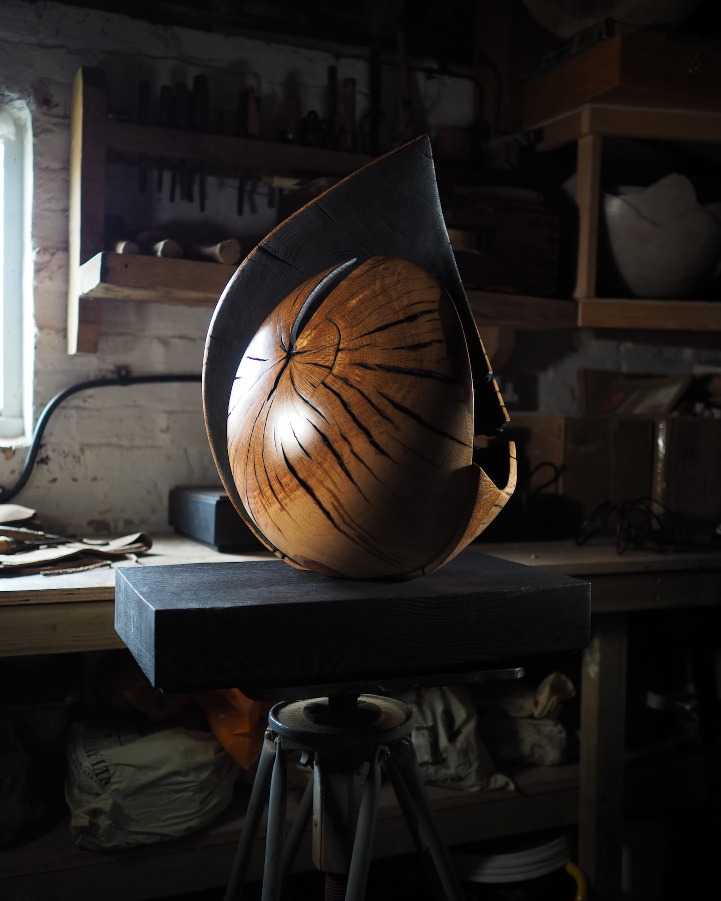 Nic Webb, Koru II, 2020