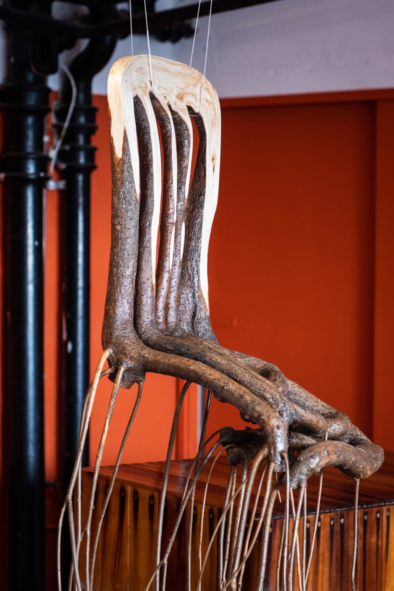 Full Grown, The Morris Chair, 2024