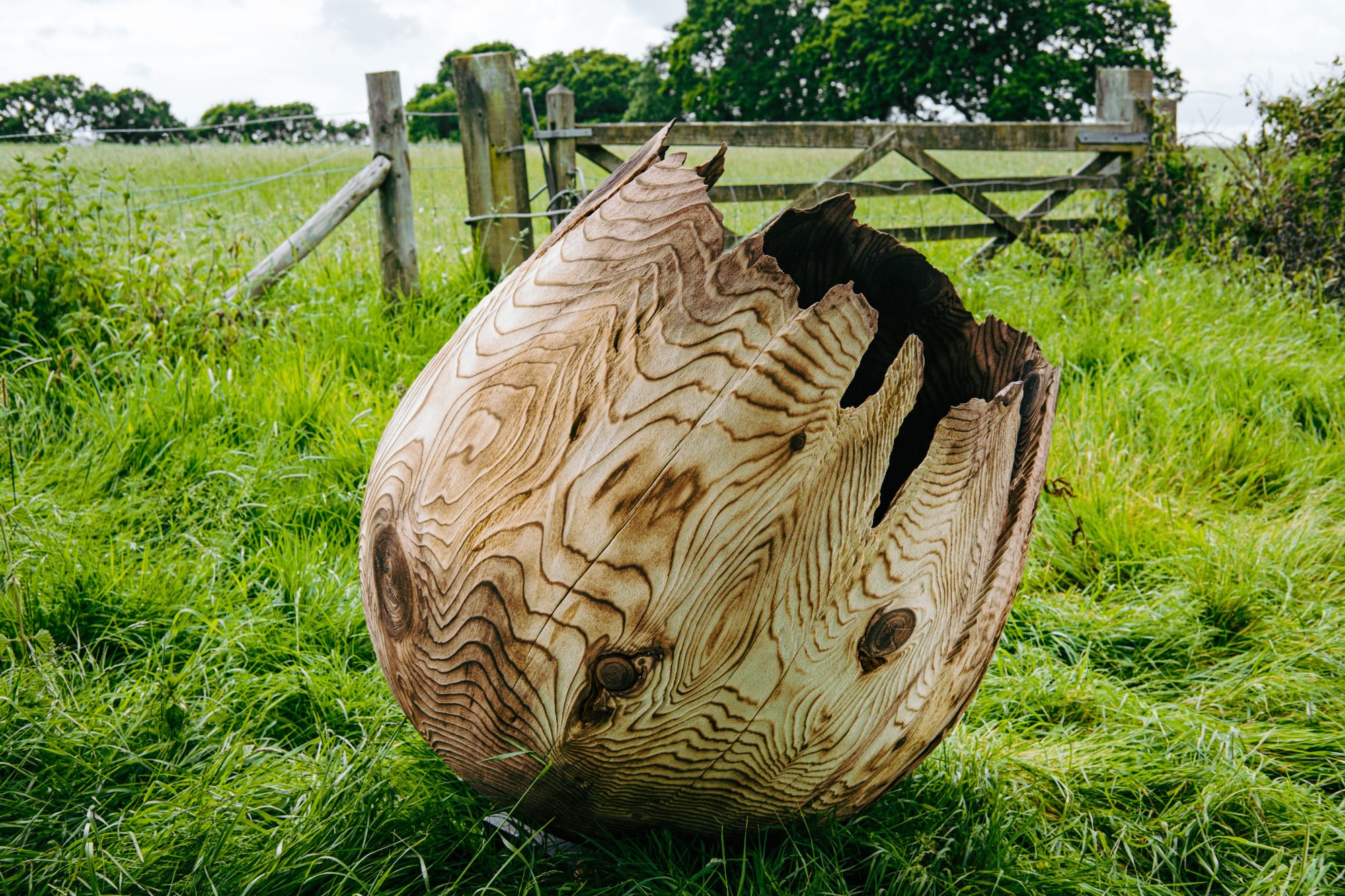 Nic Webb, New Work.03, 2024