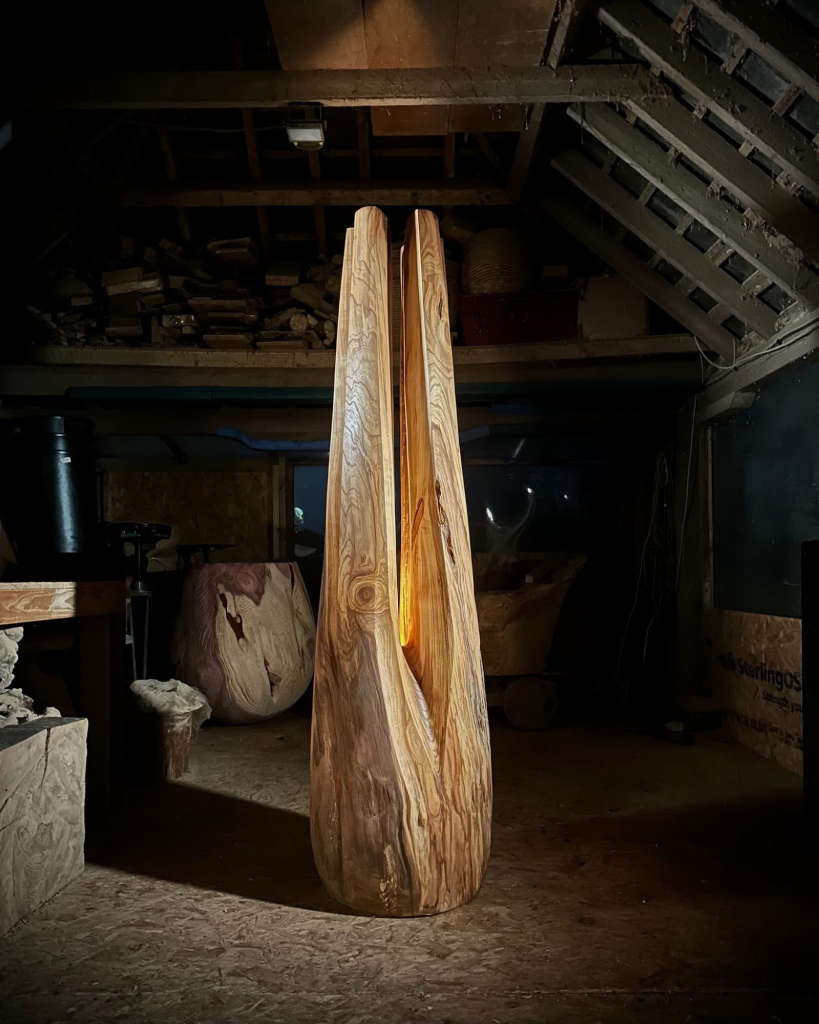 Nic Webb, Hikari, 2024