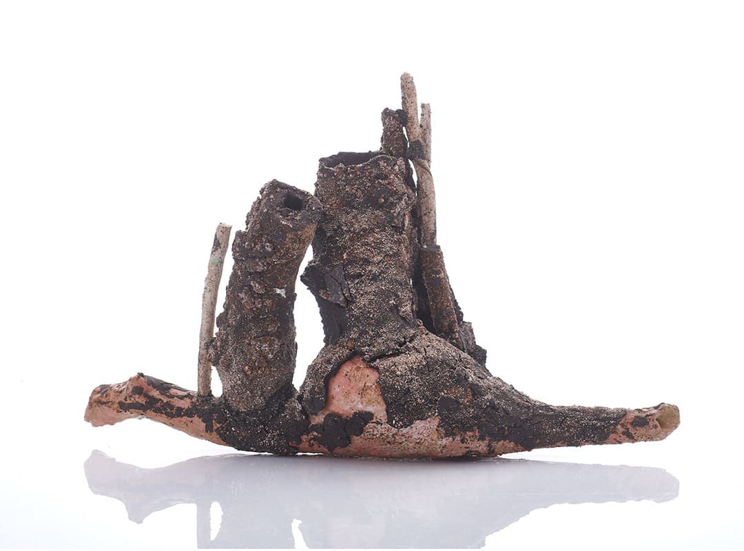 Aneta Regel, Galaz 2, 2023