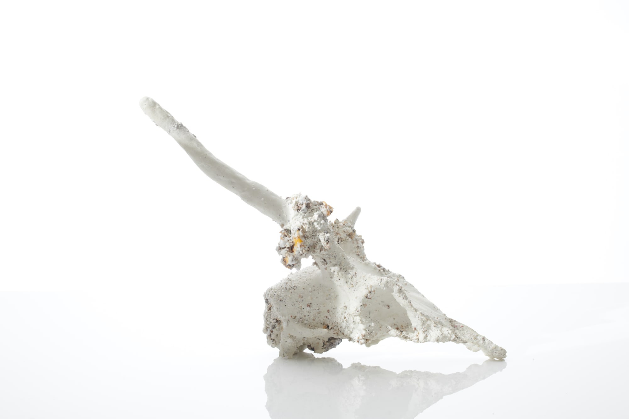 Aneta Regel, Tectonics Skull, 2020