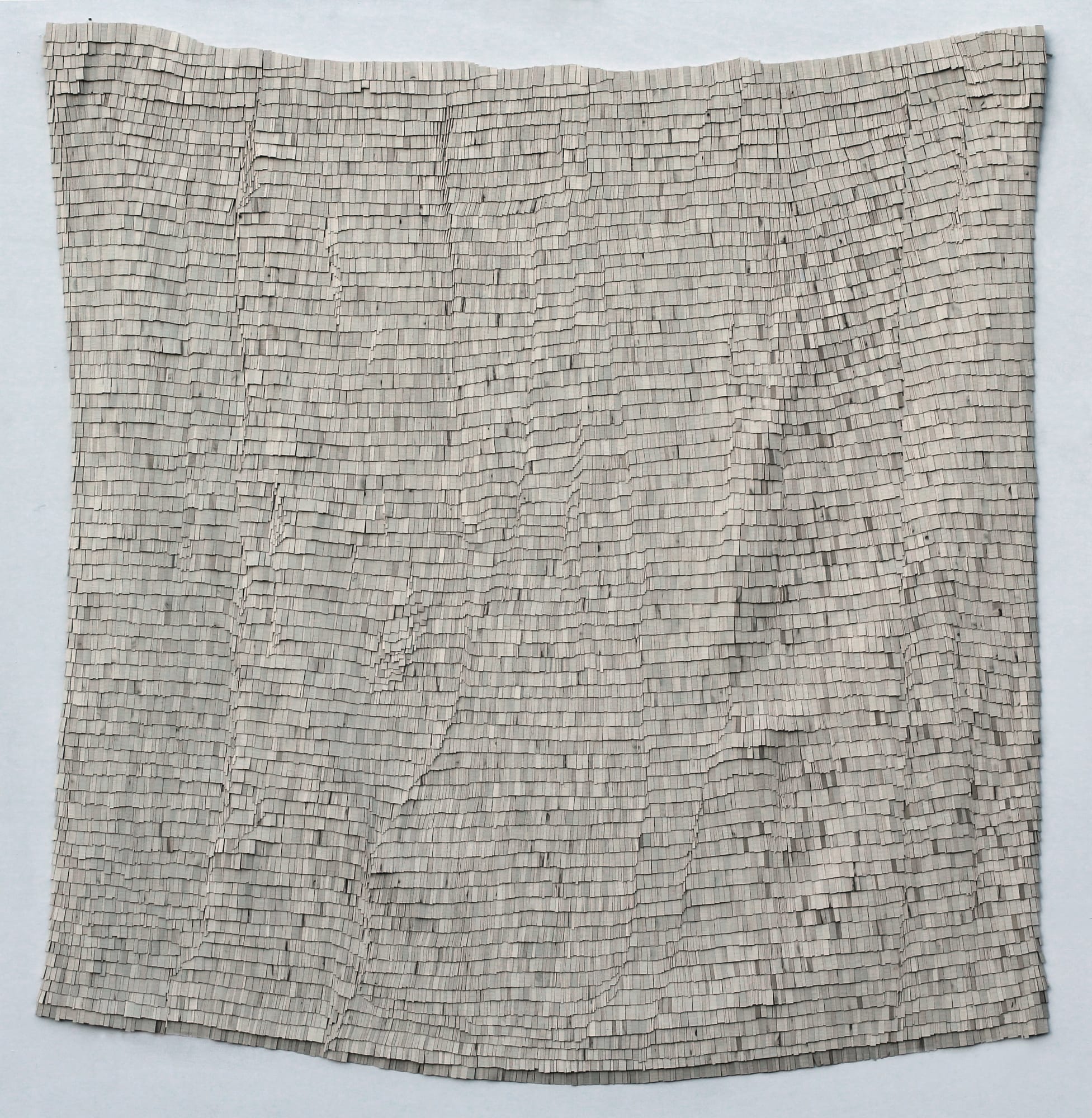 Wycliffe Stutchbury, Beech Hill 6, 2022