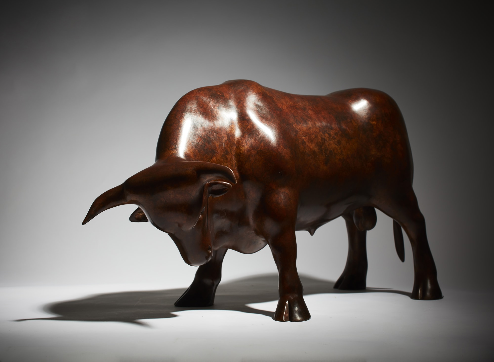 Anthony Scott RUA, Donn