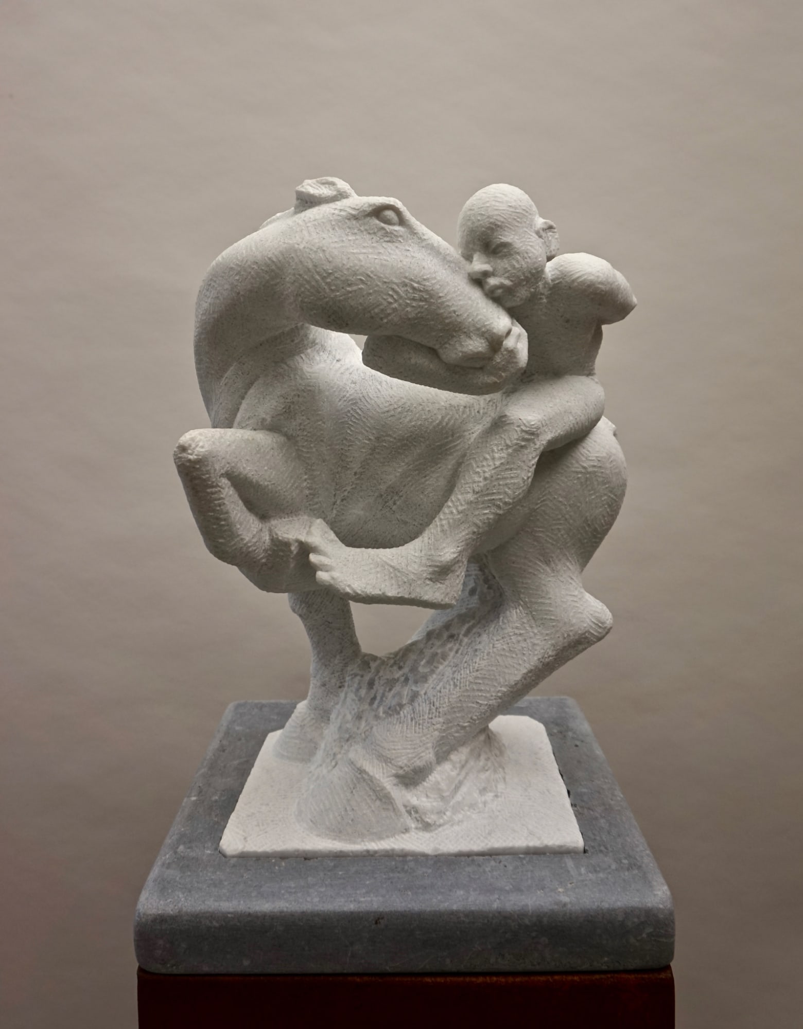 Michael Quane RHA, Horse and Rider