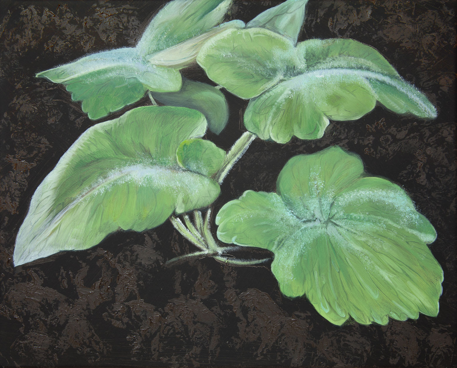 Bennie Reilly, Weed II, Botanic Gardens, Dublin, 2017