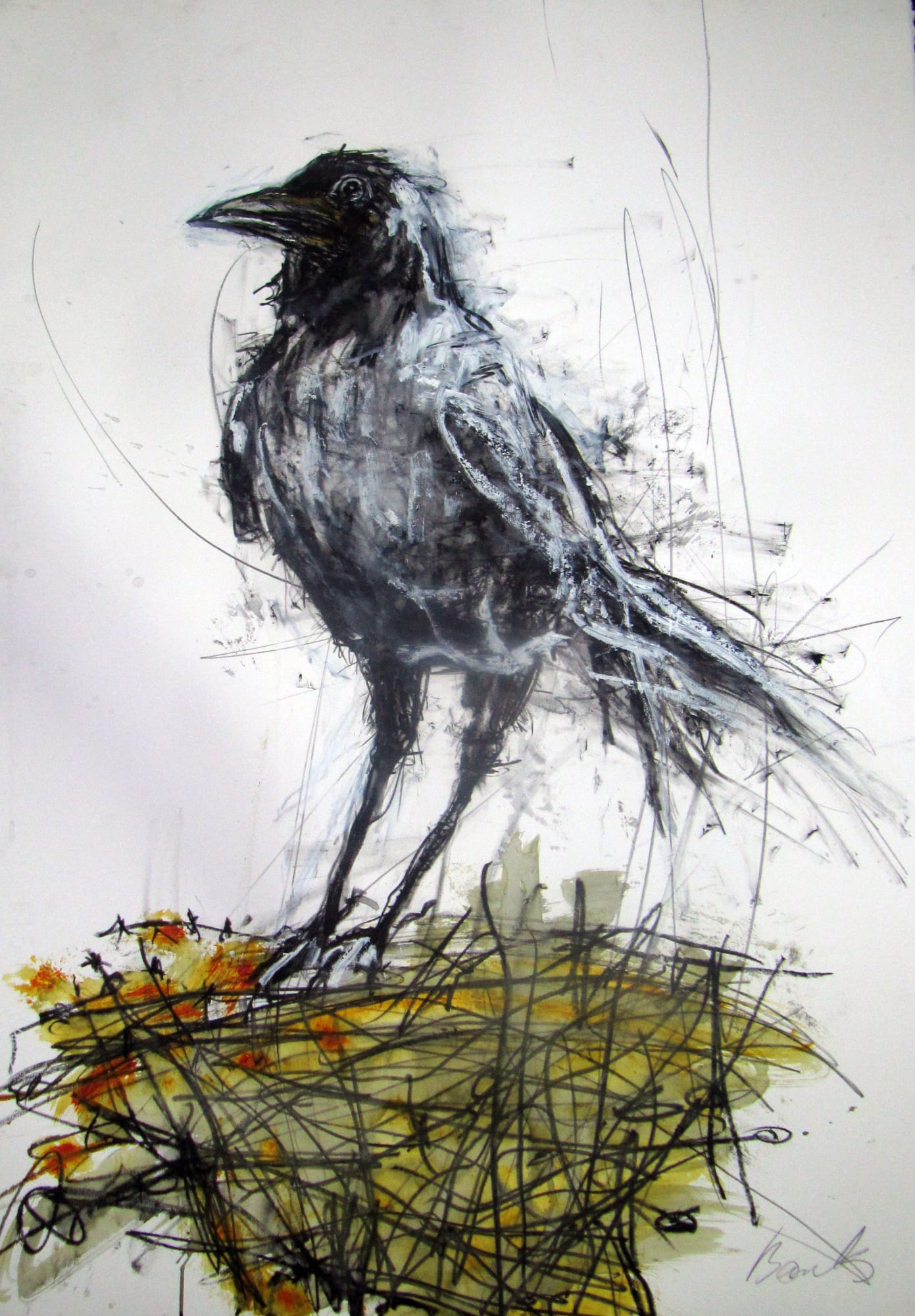 Margo Banks, Crow's First Summer