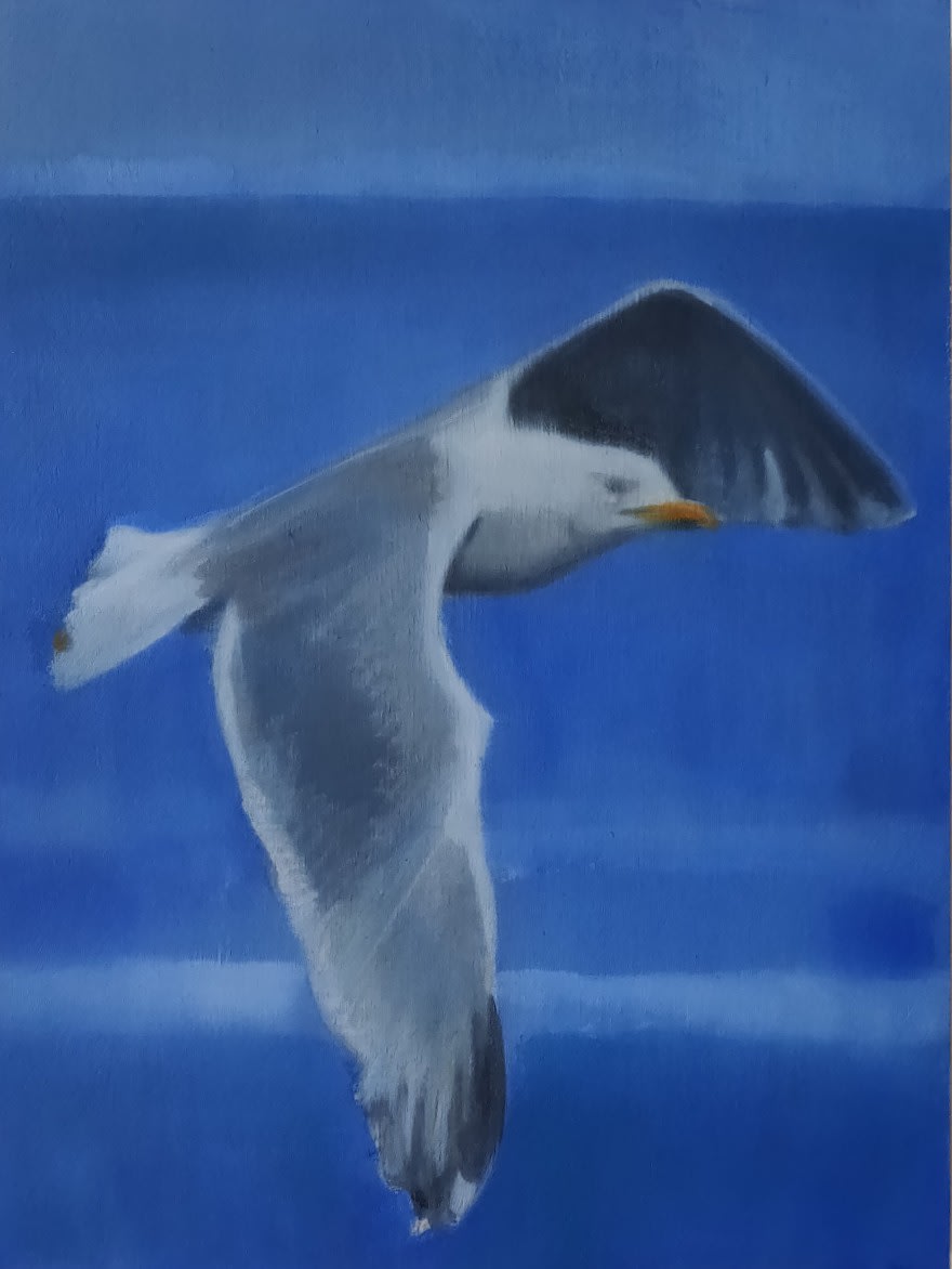 Helen O'Sullivan-Tyrrell, Seagulls in Flight I