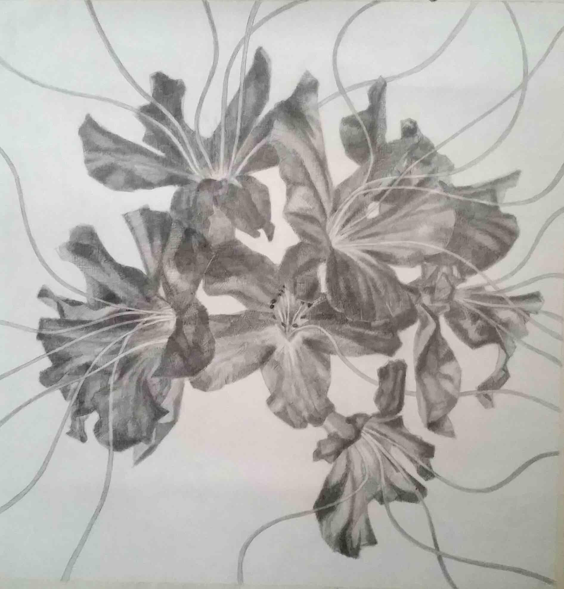 Kieran Crowley, Untitled