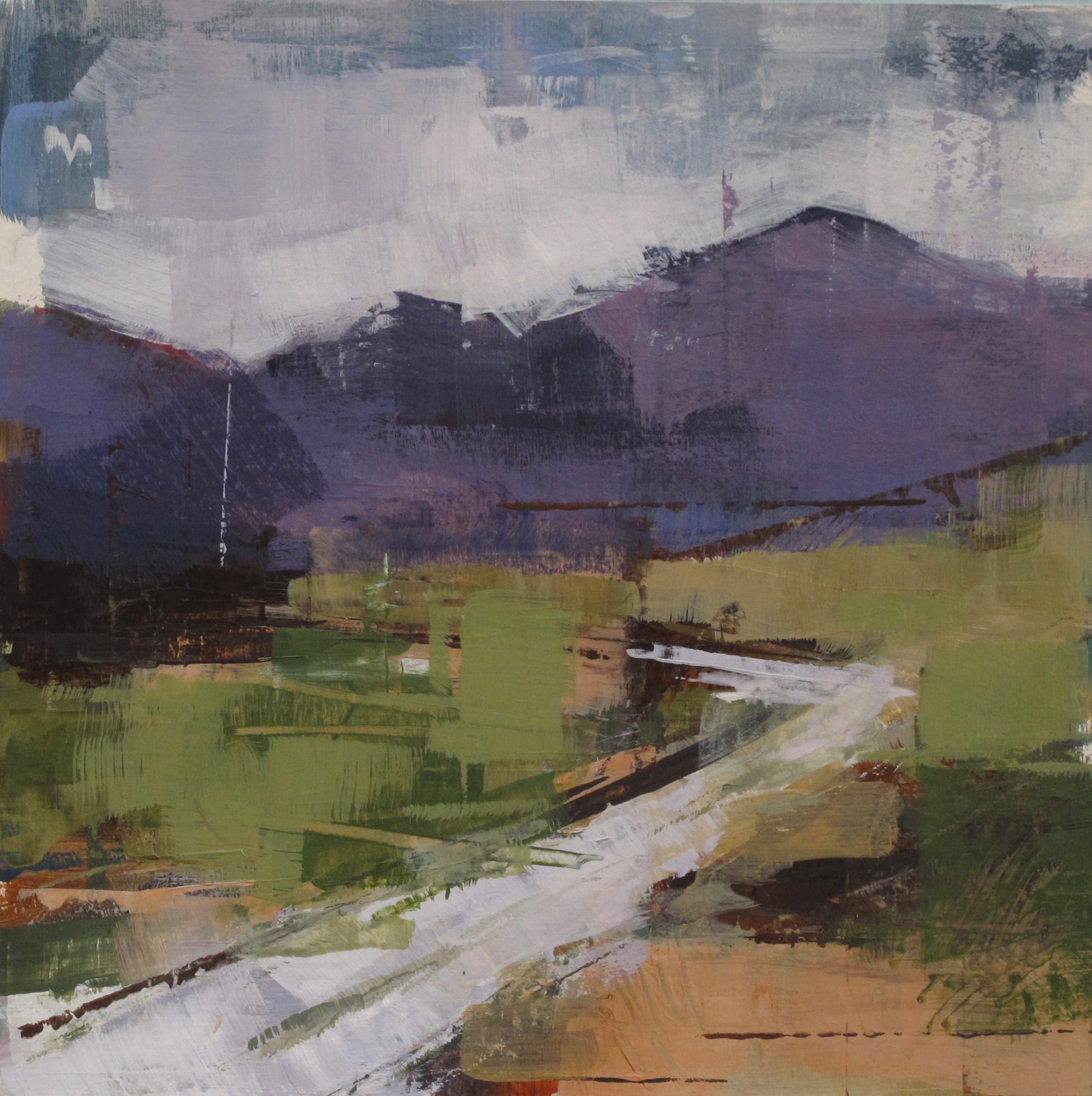 Bridget Flinn, Into the Purple Mountains