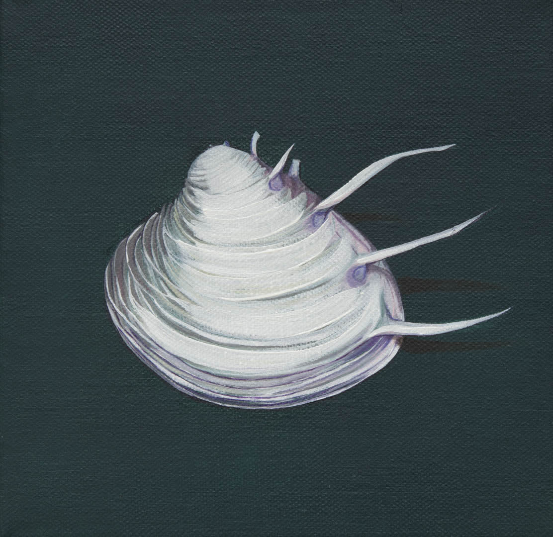 Bennie Reilly, Elegant Venus