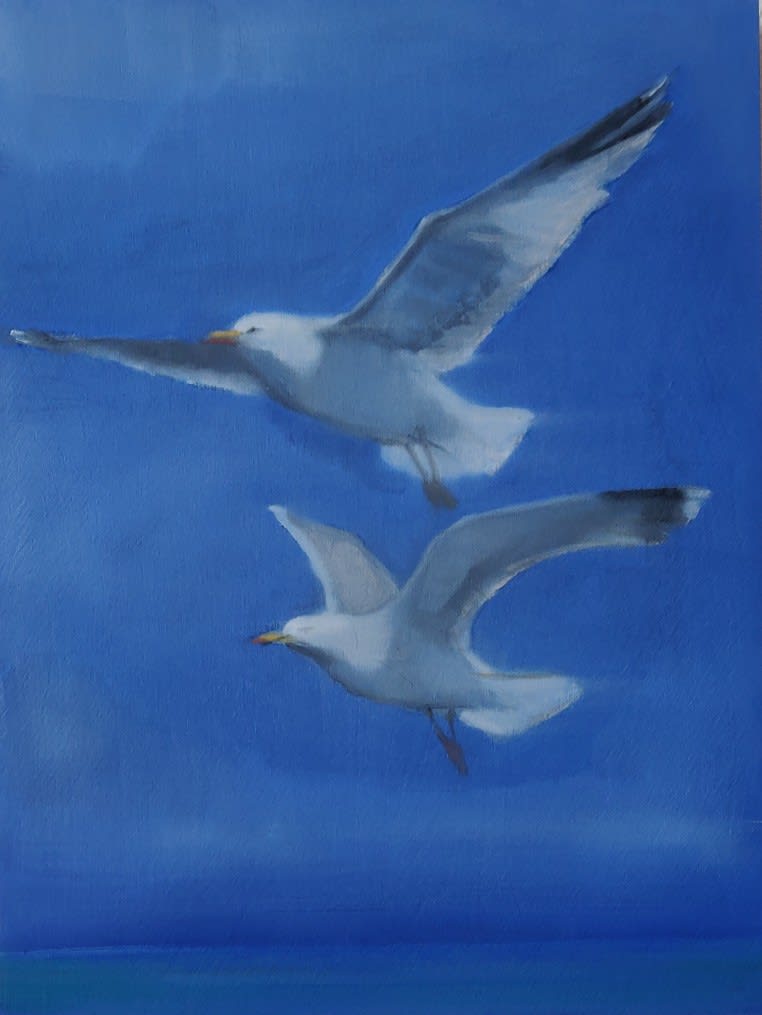 Helen O'Sullivan-Tyrrell, Seagulls in Flight II