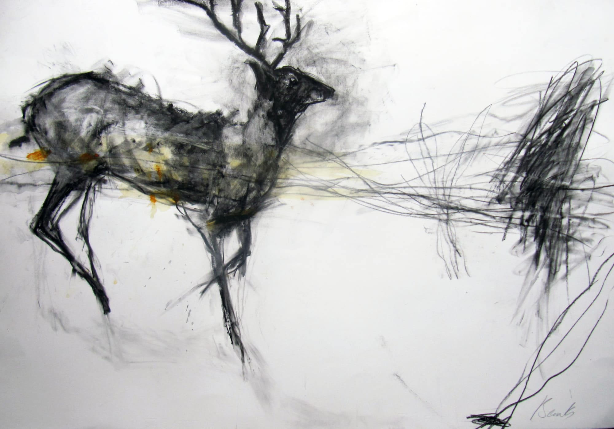 Margo Banks, Red Deer 1