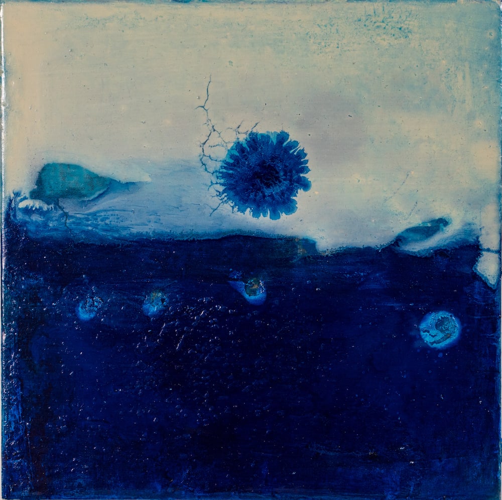 Cléa van der Grijn, JUMP #11