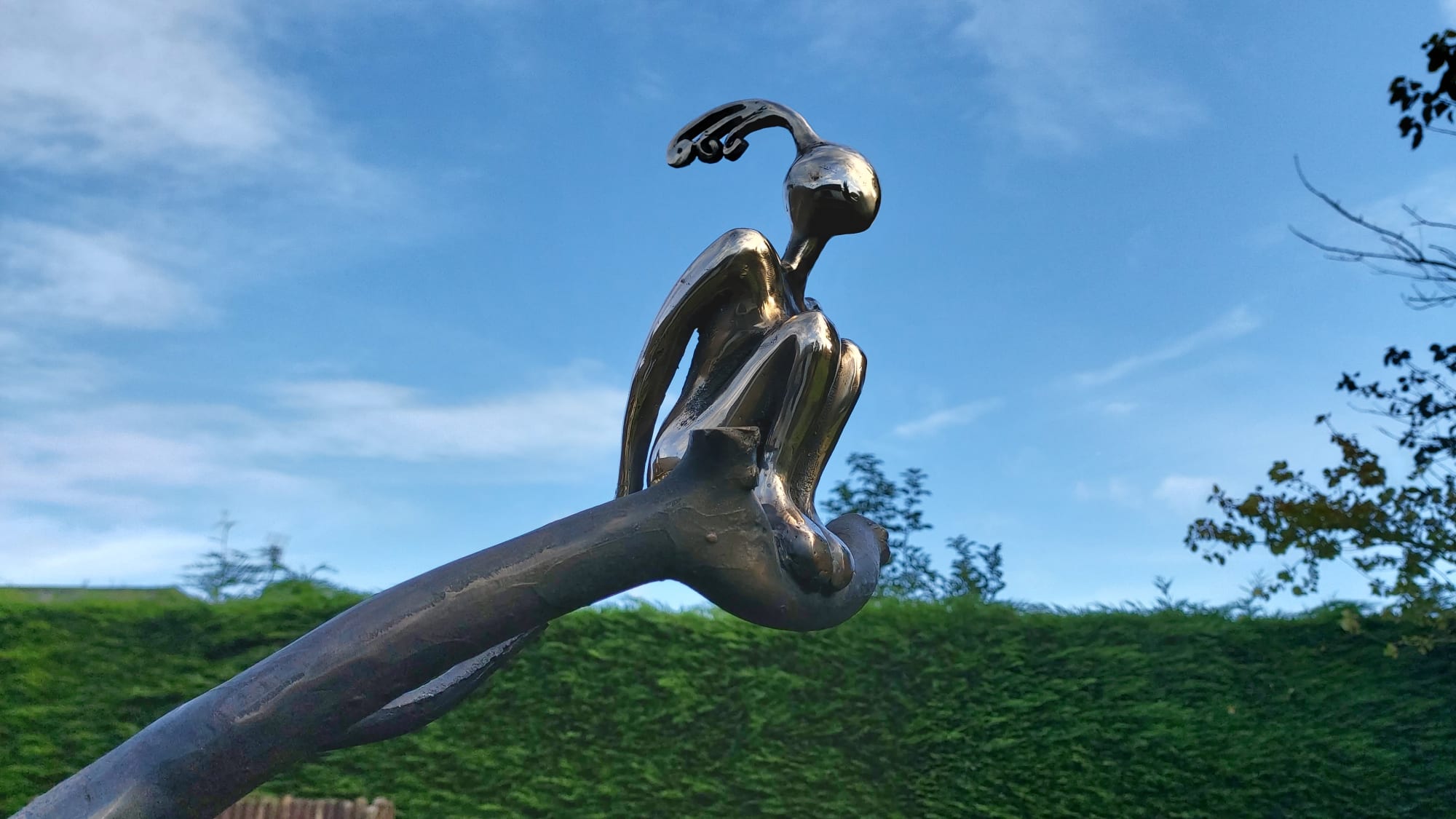 Orla de Brí, Aves Envy