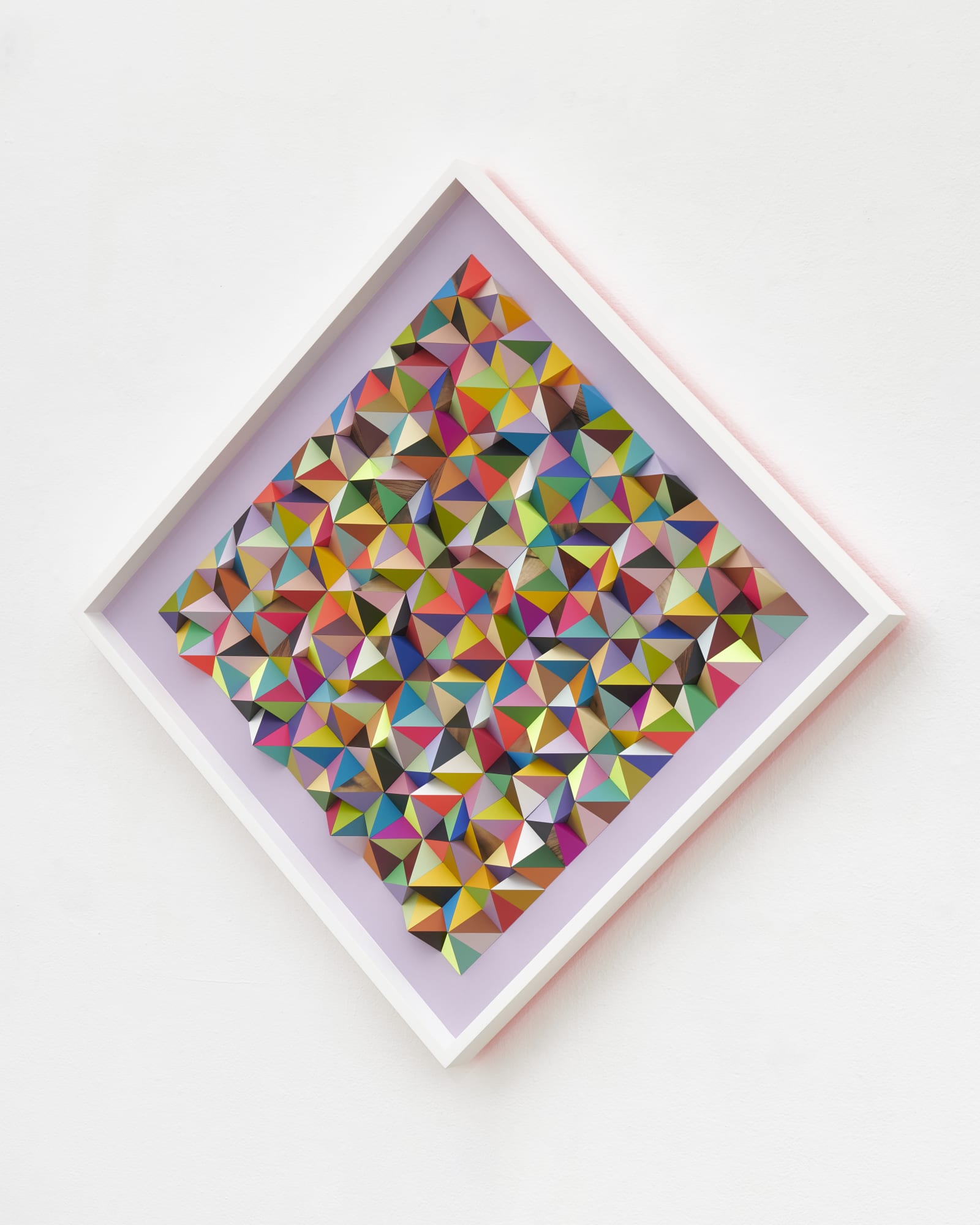 Sean Newport, Wildflowers, 2021