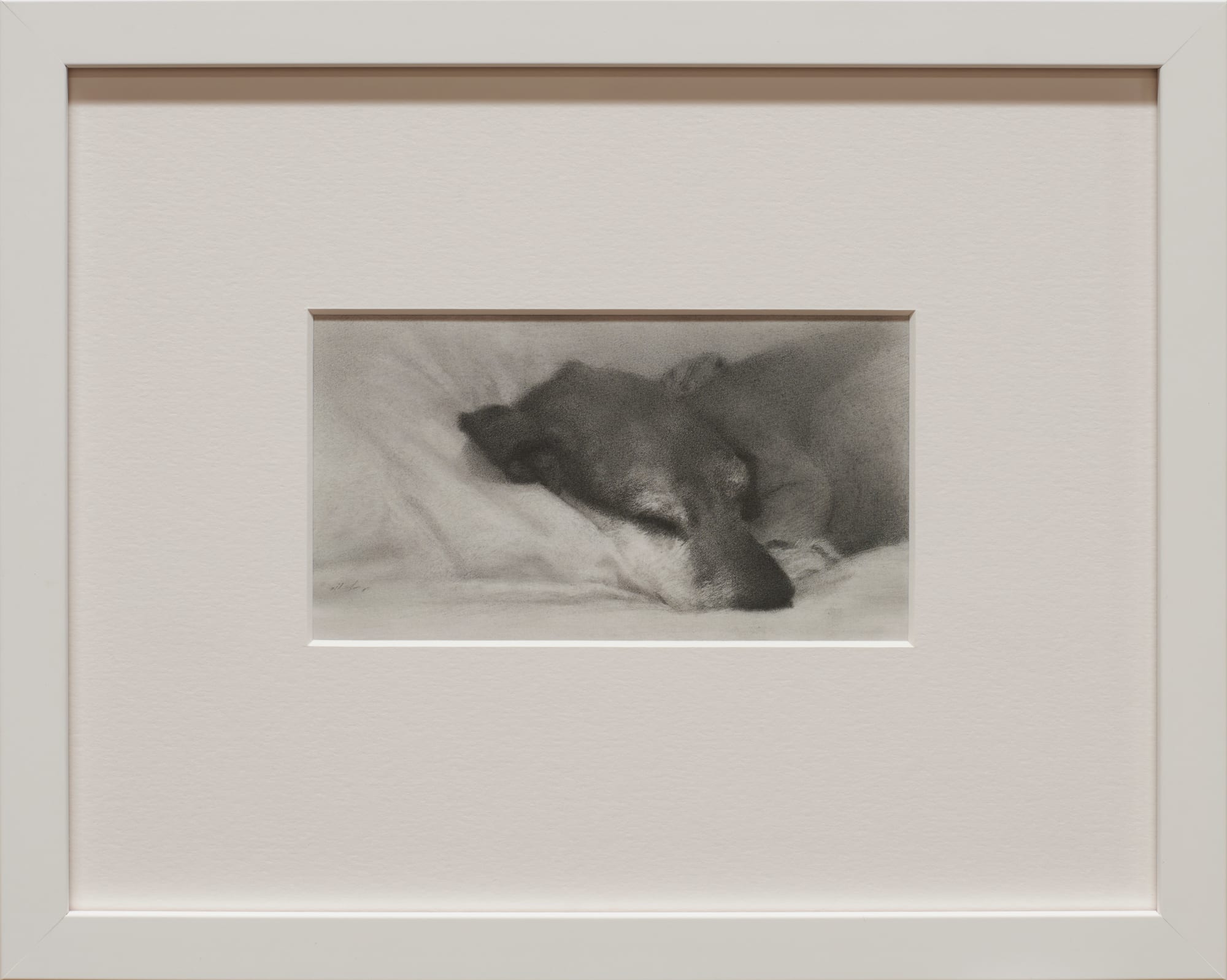 Zachary Oldenkamp, Hound of Hyde Street, 2022