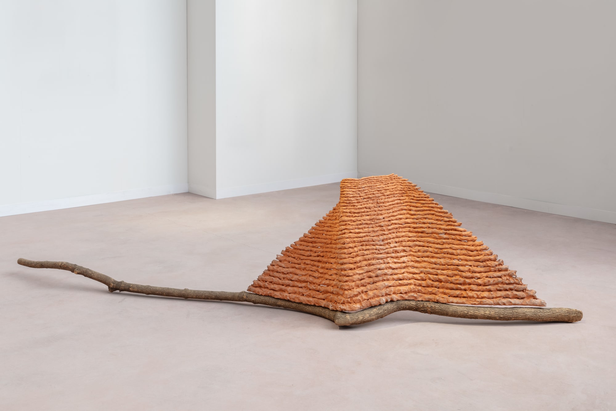 Giuseppe Penone, Struttura del tempo (Structure of time), 1992