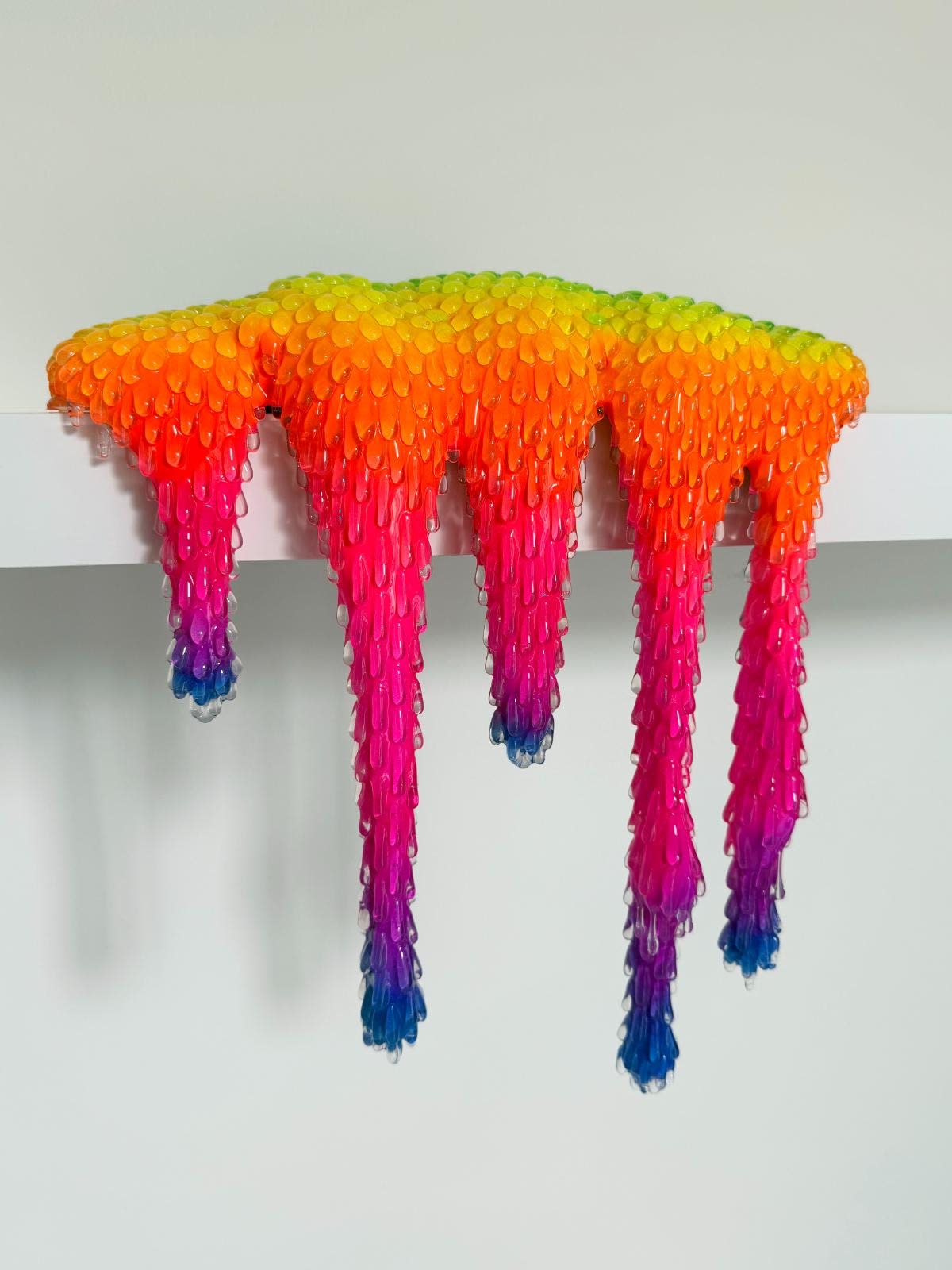 Dan Lam, Gush, 2025