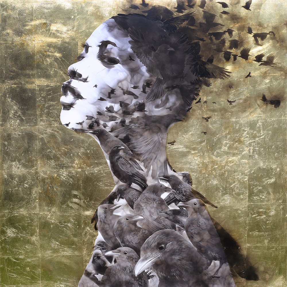 Steven Spazuk, Crows