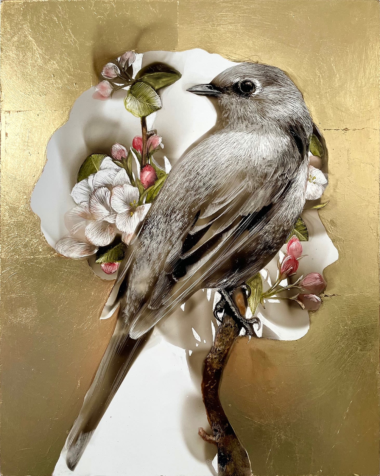 Steven Spazuk, Fly Catcher