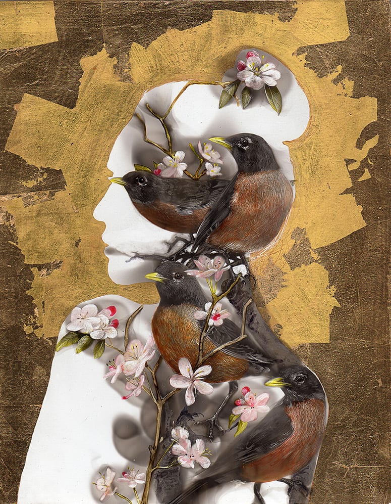 Steven Spazuk, Robins