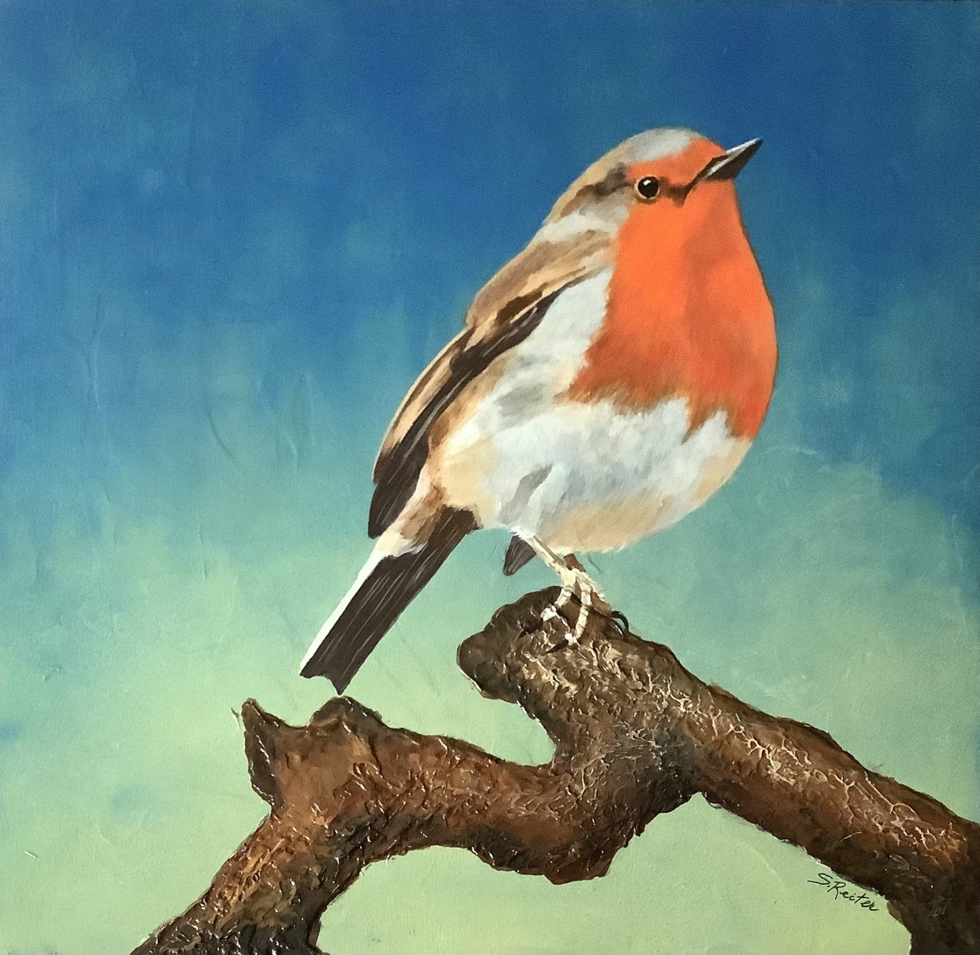 Susan Reiter, English Robin