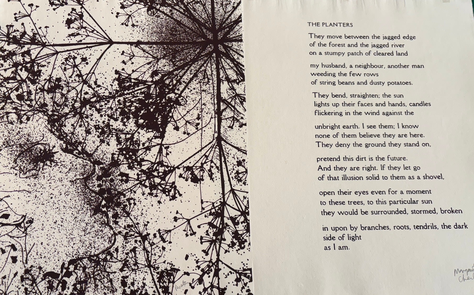 Charles Pachter, THE PLANTERS