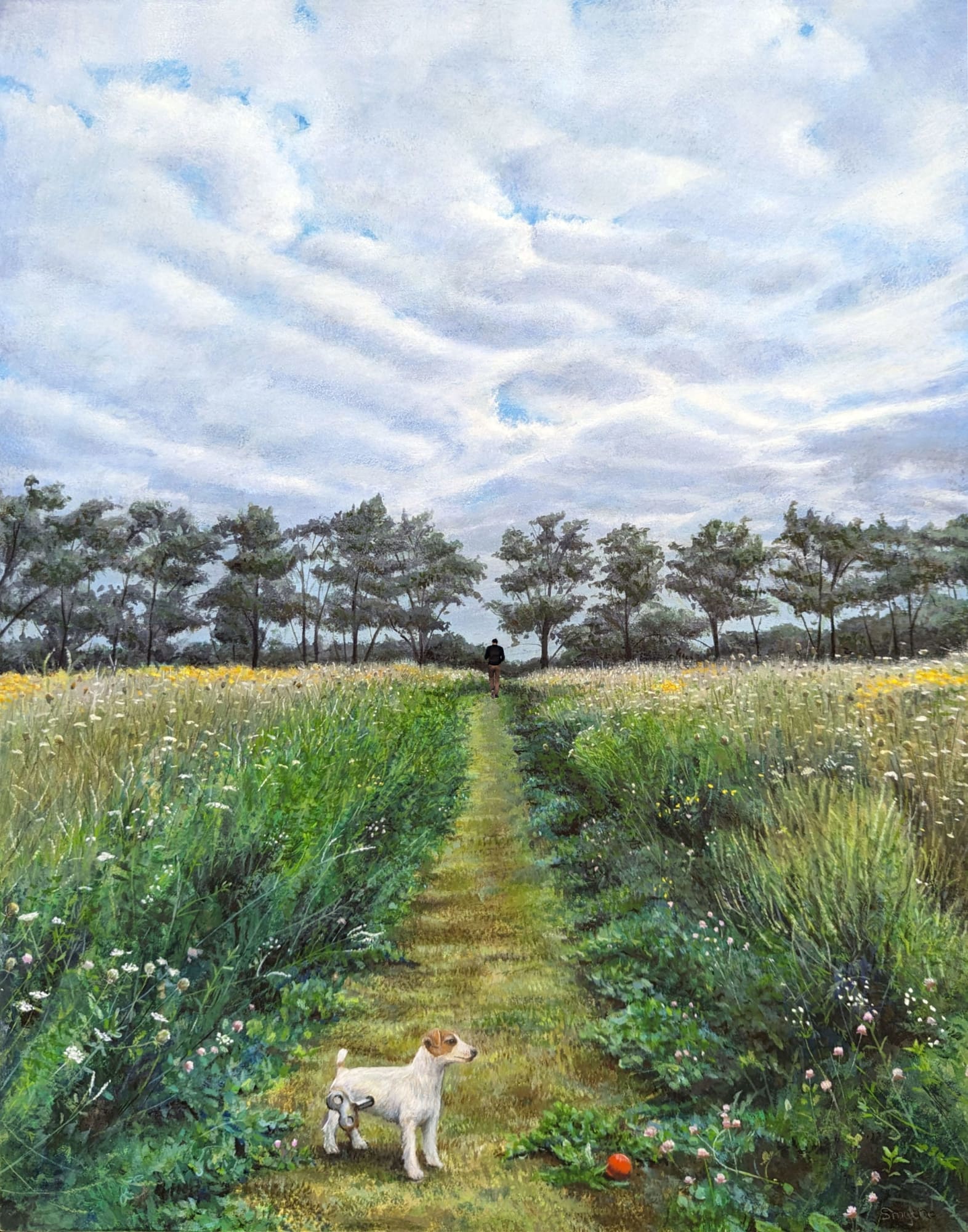 Anne Smythe, The Red Ball