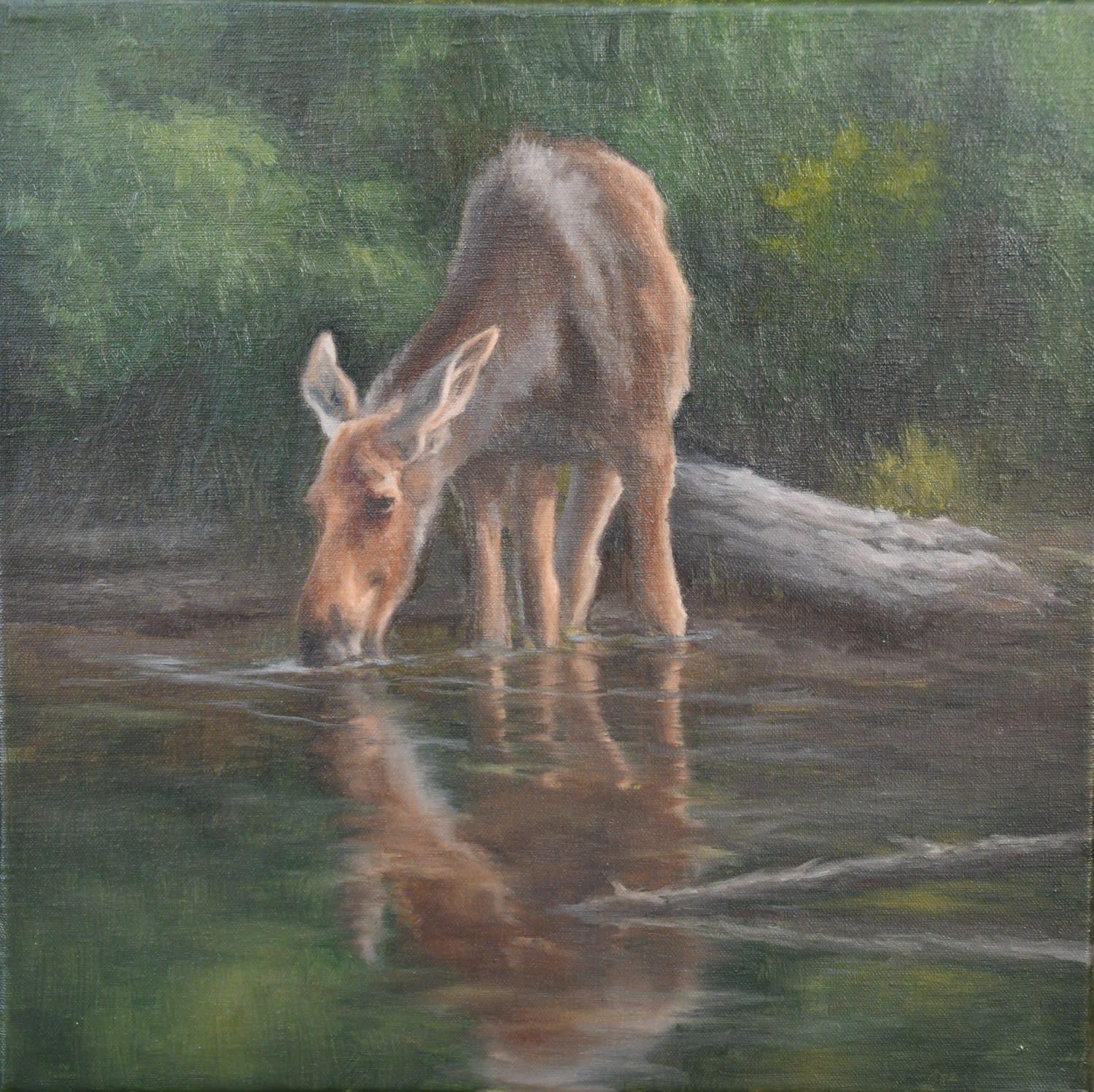 Jennifer Foster, Algonquin Morning