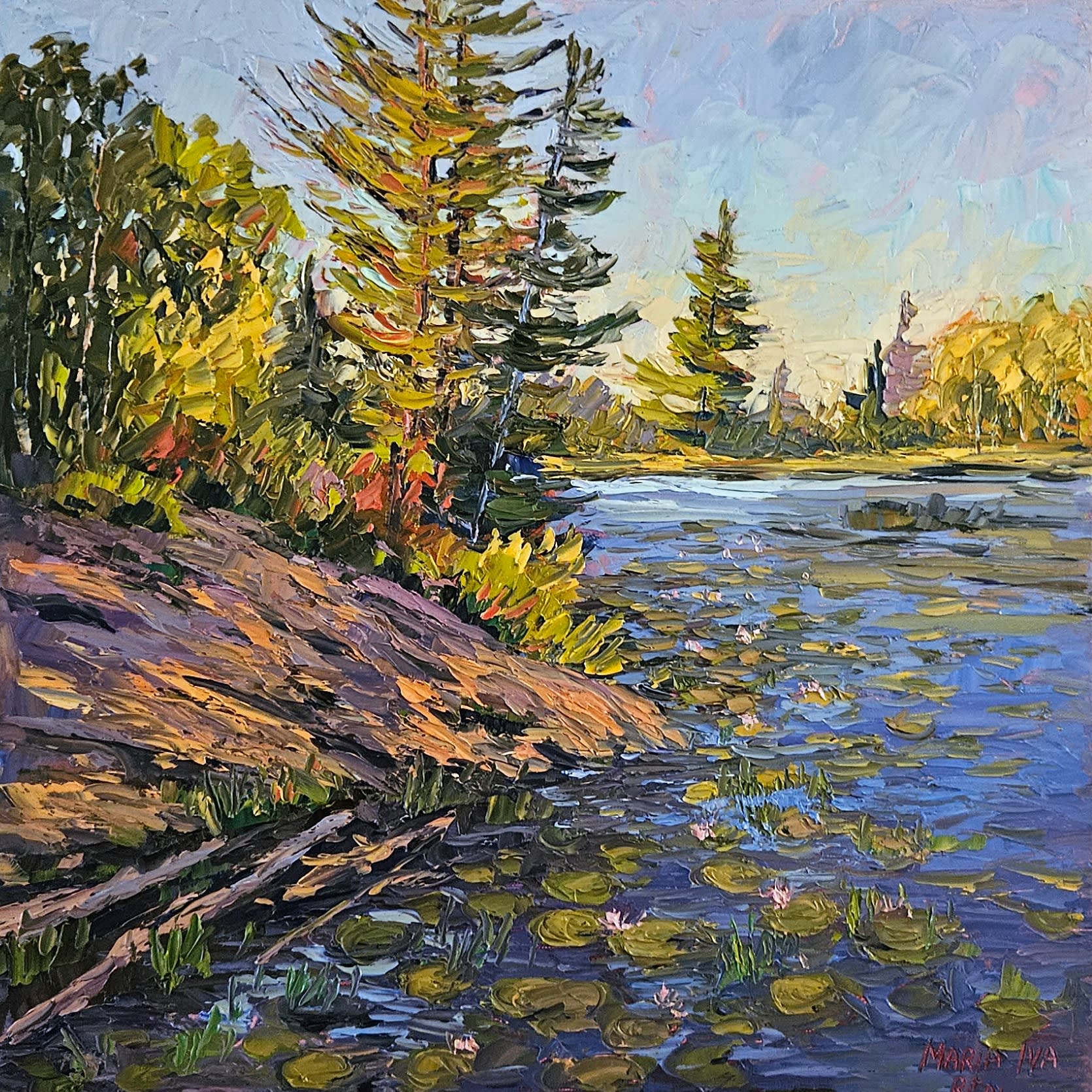 Maria Iva, Algonquin Marsh