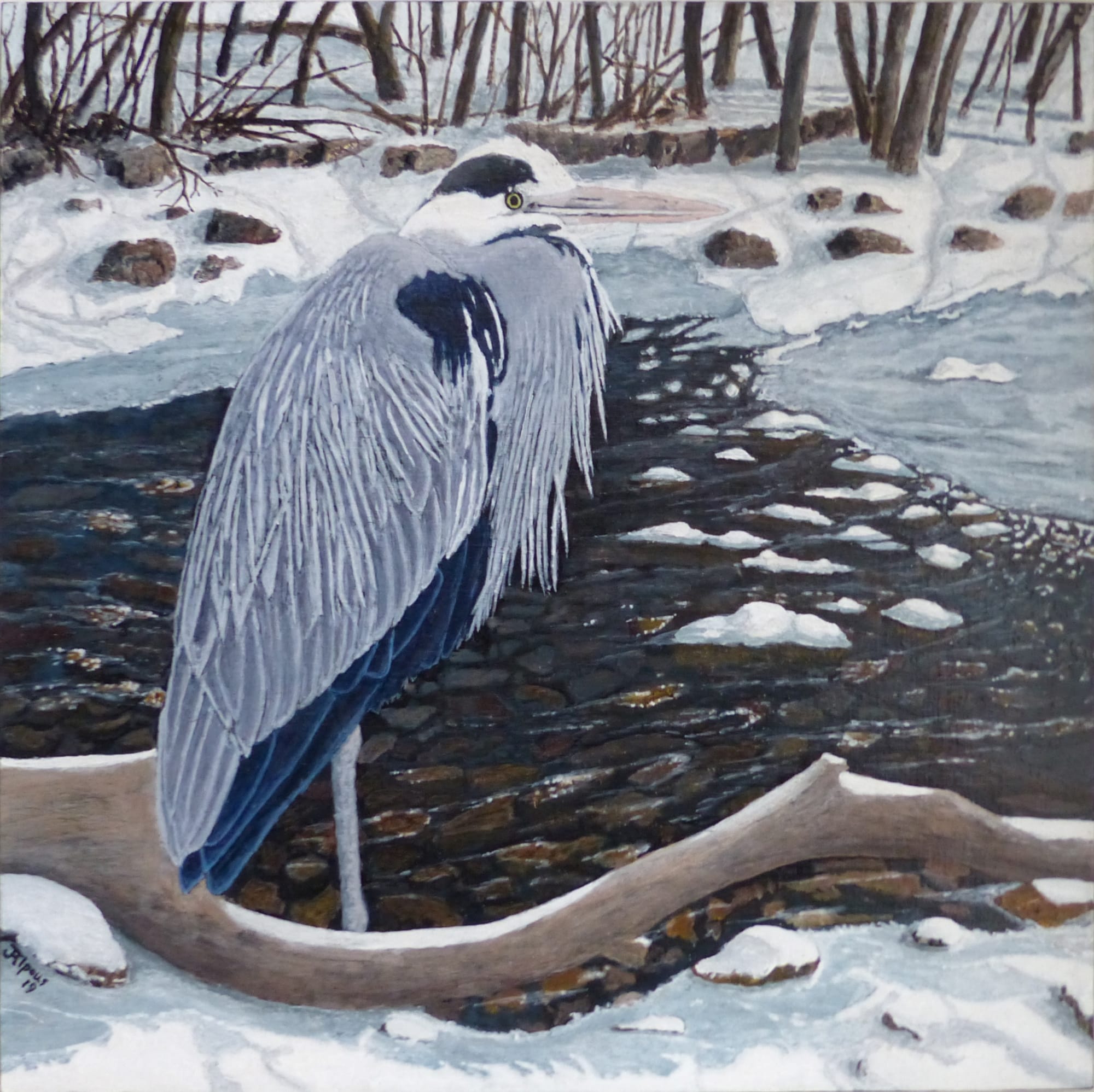 Jim Aplous, Early Arrival (Blue Heron)