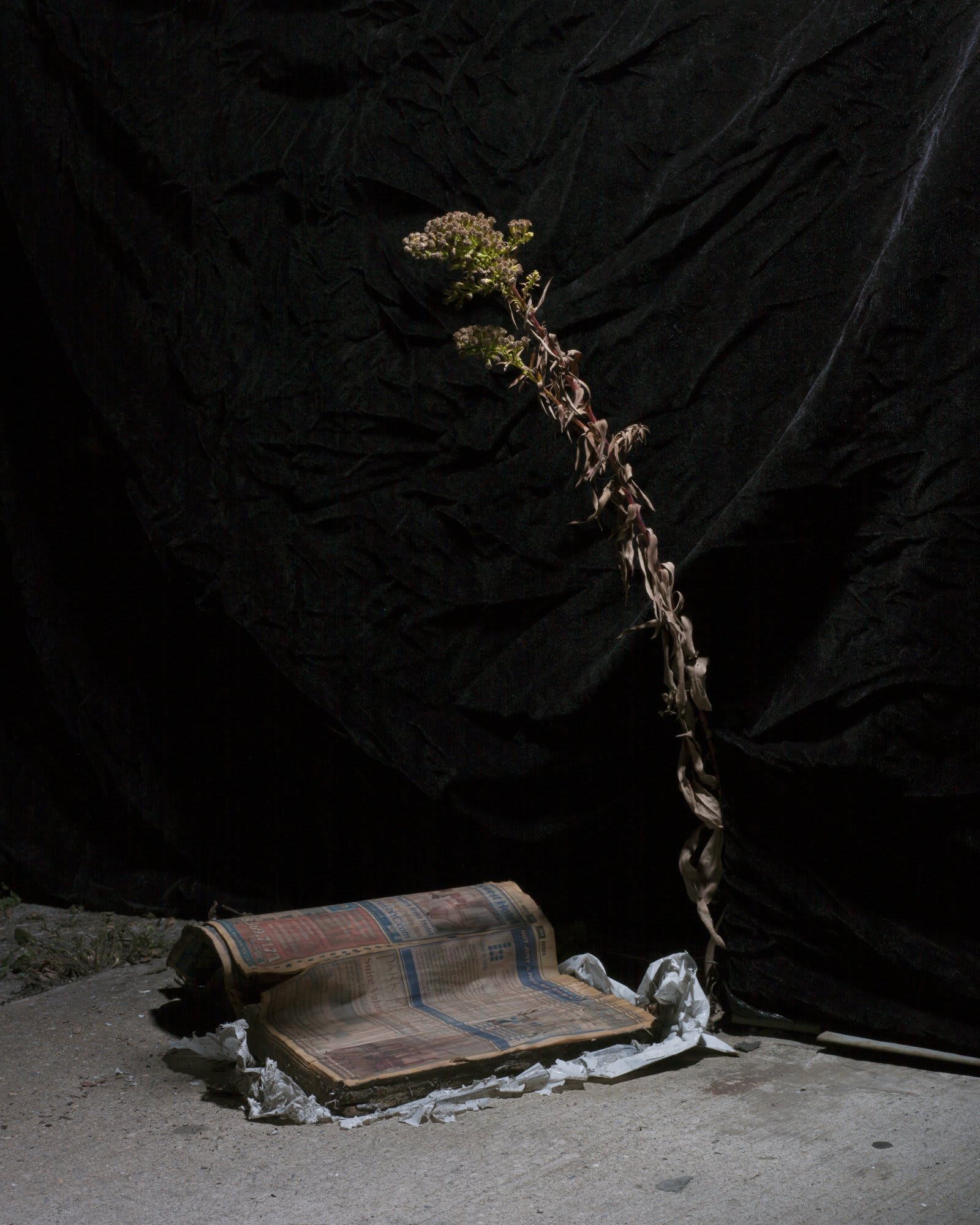 MICHAEL VAHRENWALD, Untitled, 2013