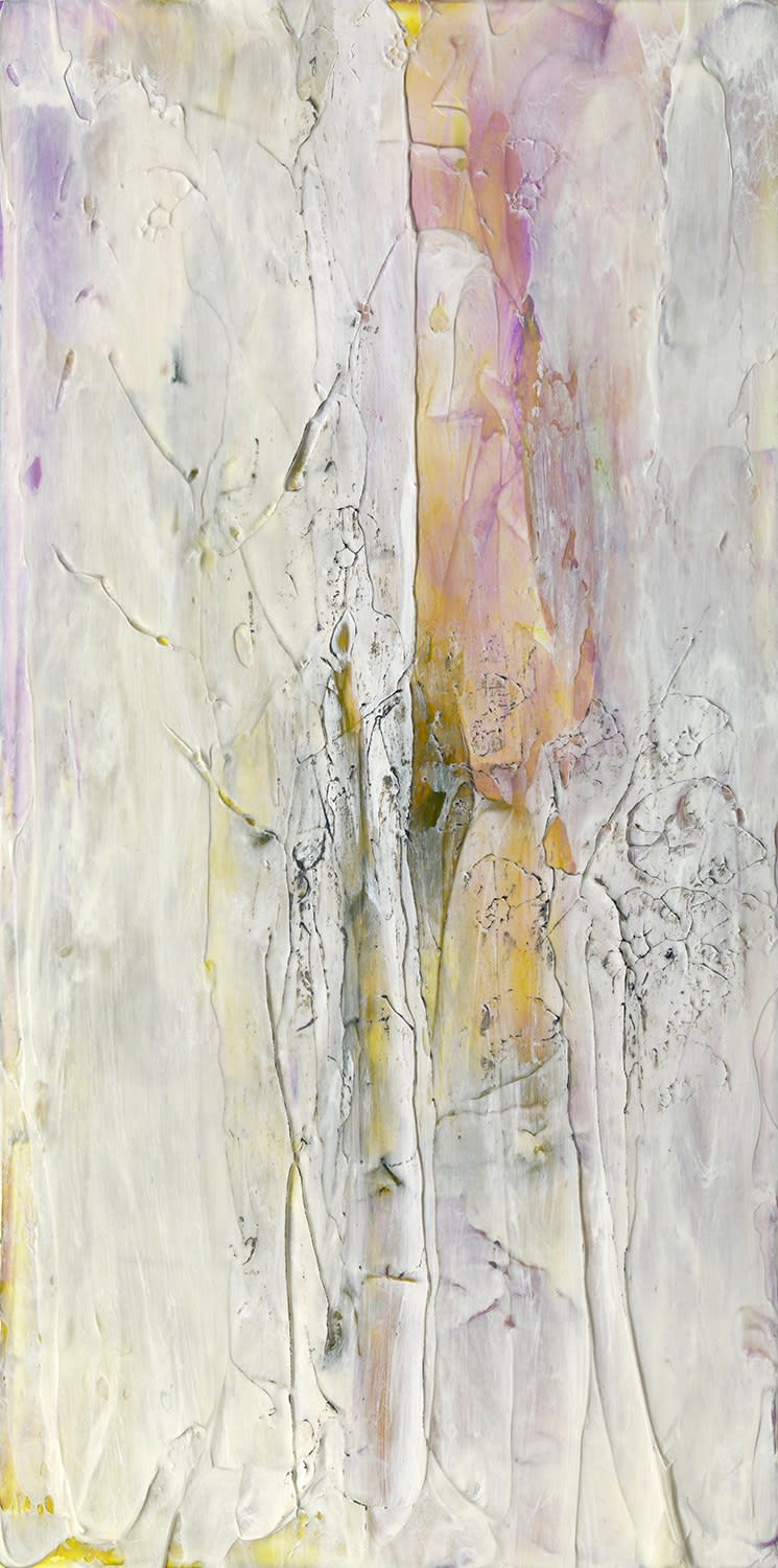 Susan Swartz, Nature Revisited 53, 2018