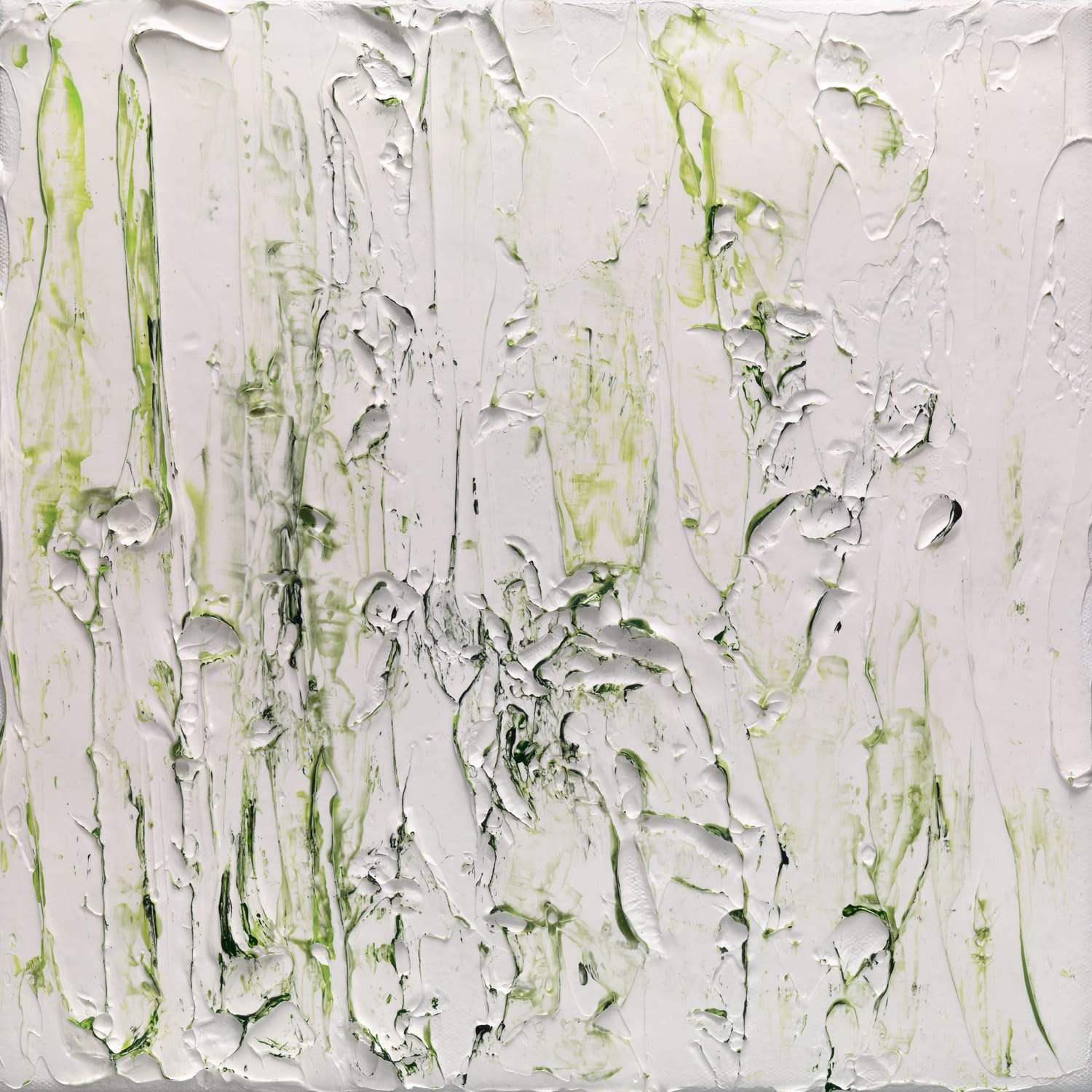 Susan Swartz, Nature Revisited 8, 2016