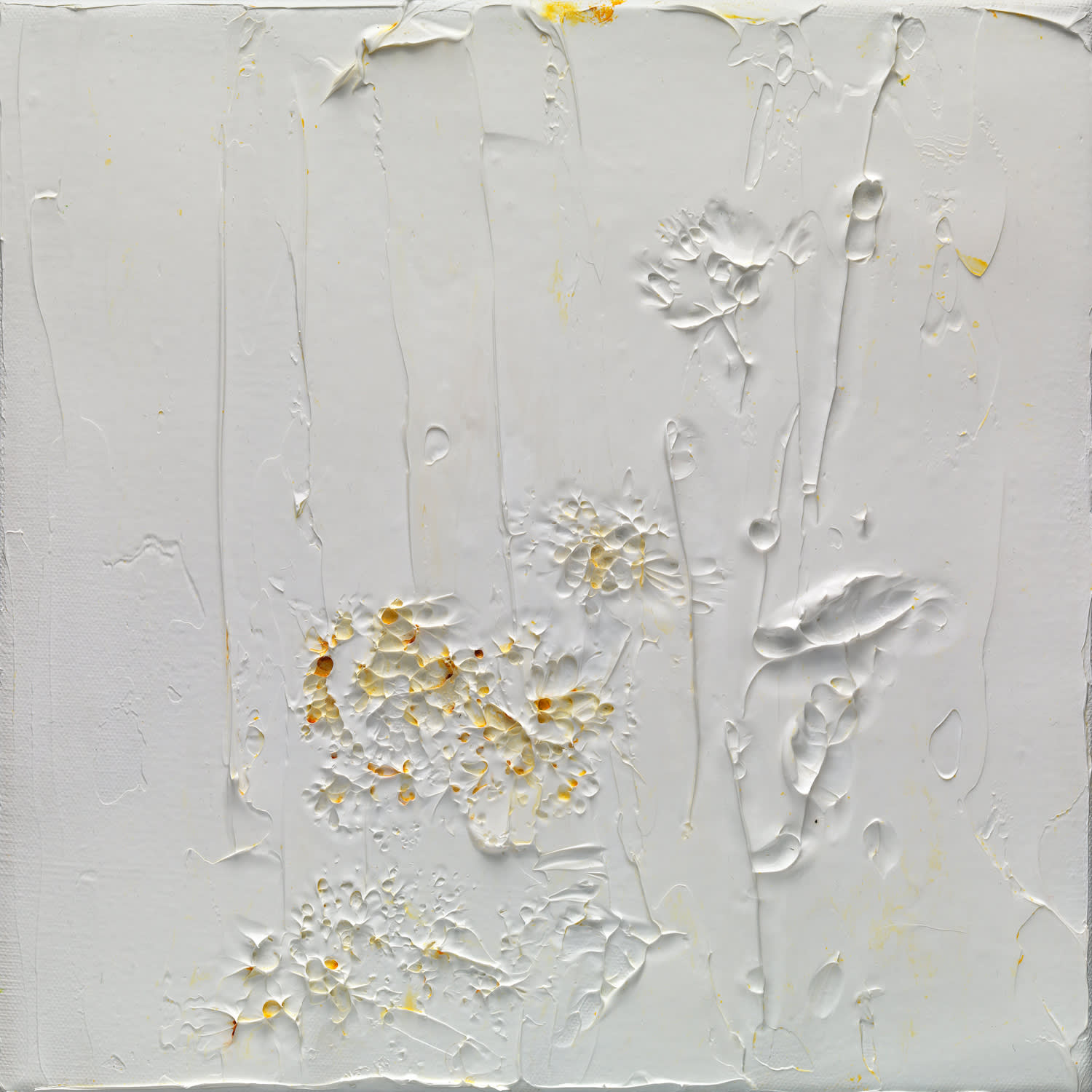 Susan Swartz, Nature Revisited 6, 2016