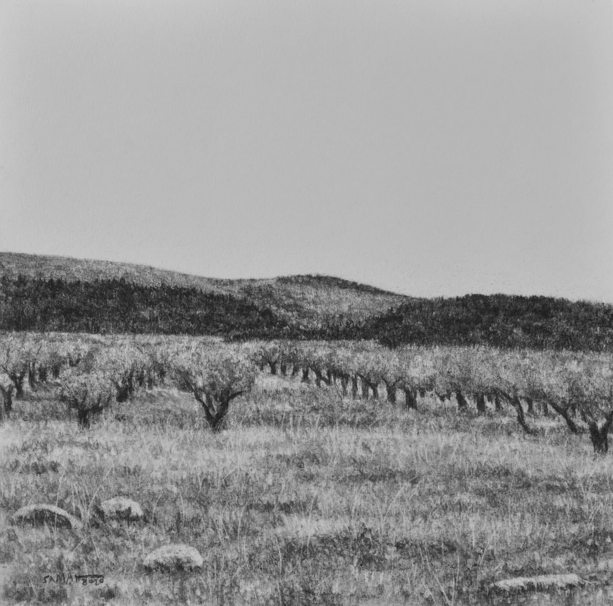 Samah Shihadi, Terra Studies 4, 2020