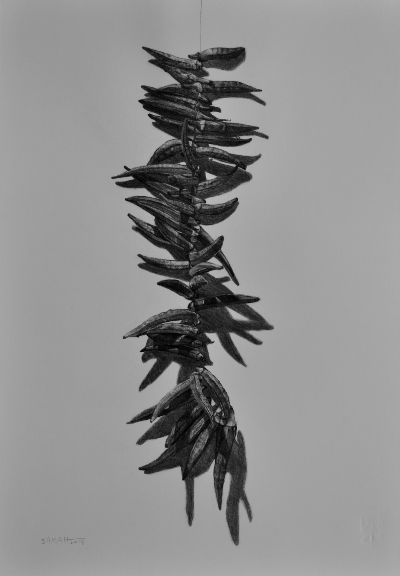 Samah Shihadi, Hanging Series , 2018