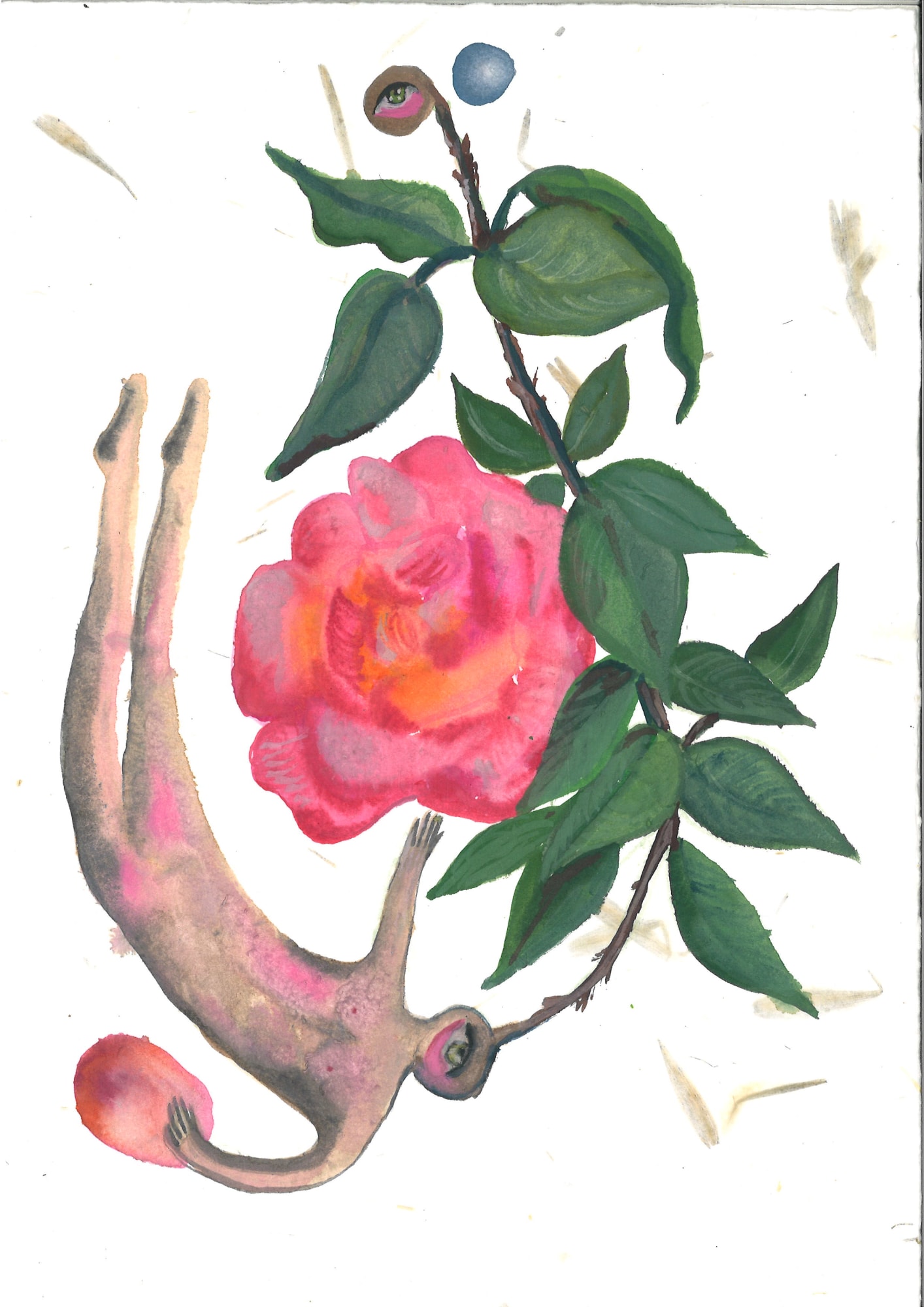 Alymamah Rashed, Mirrors from the Sidewalks (A Pilgrimage from Turkey