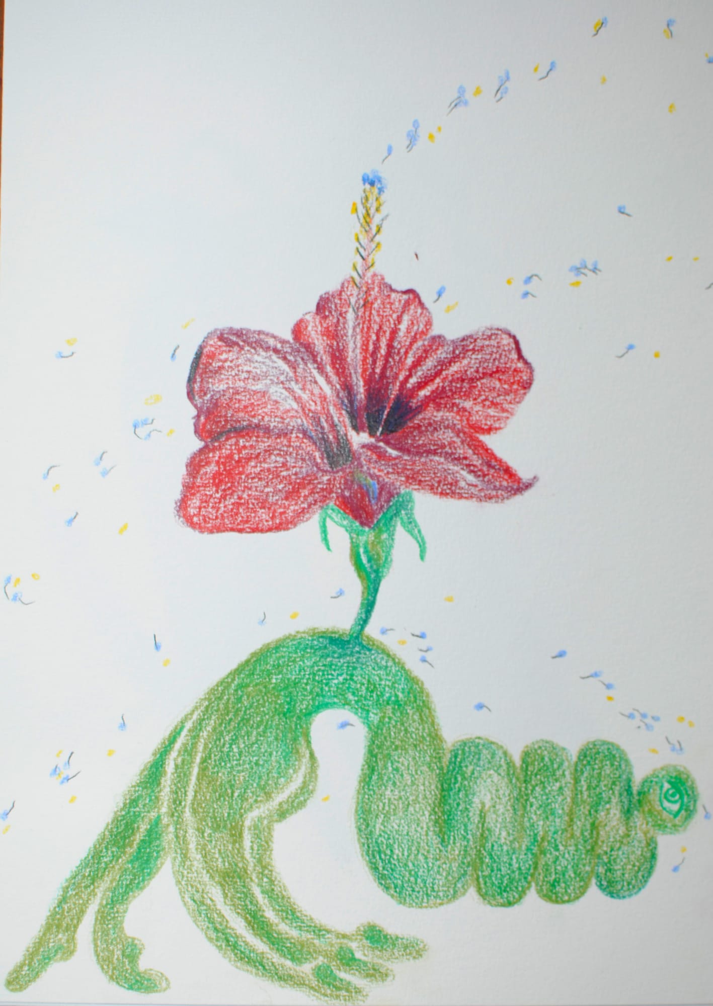 Alymamah Rashed, Forgotten Petals IIII , 2022